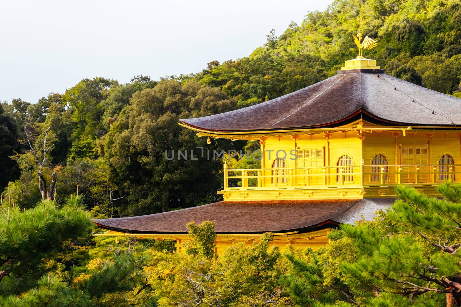 The world famous Kinkakuji Temple (The Golden Pavilion) in Kyoto, Japan on a warm autumn morning