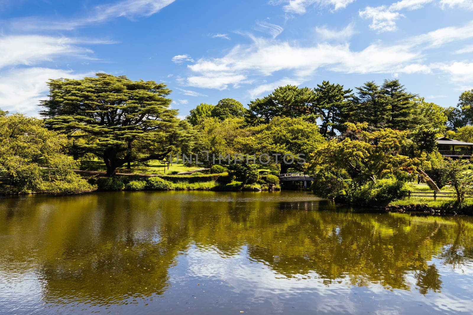Shinjuku Gyo-en is a large park and garden in Shinjuku and Shibuya, Tokyo, Japan.