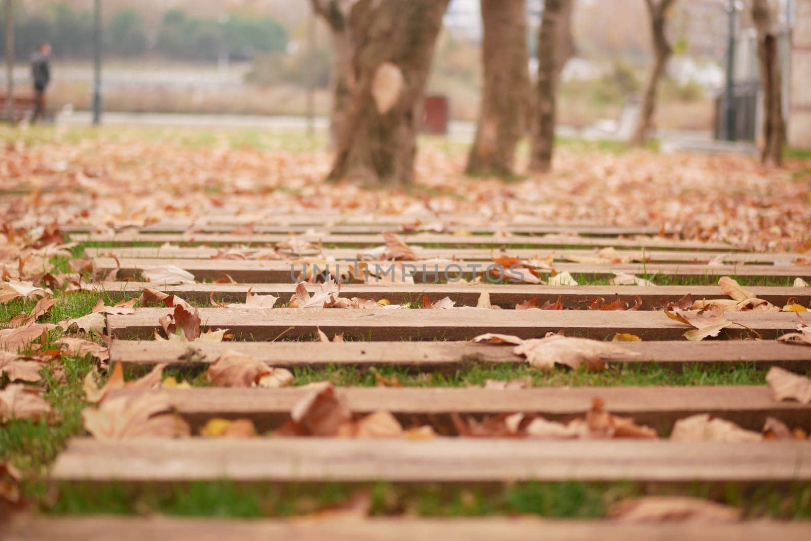 A wooden pathway winds through an autumn landscape filled with colorful fallen leaves