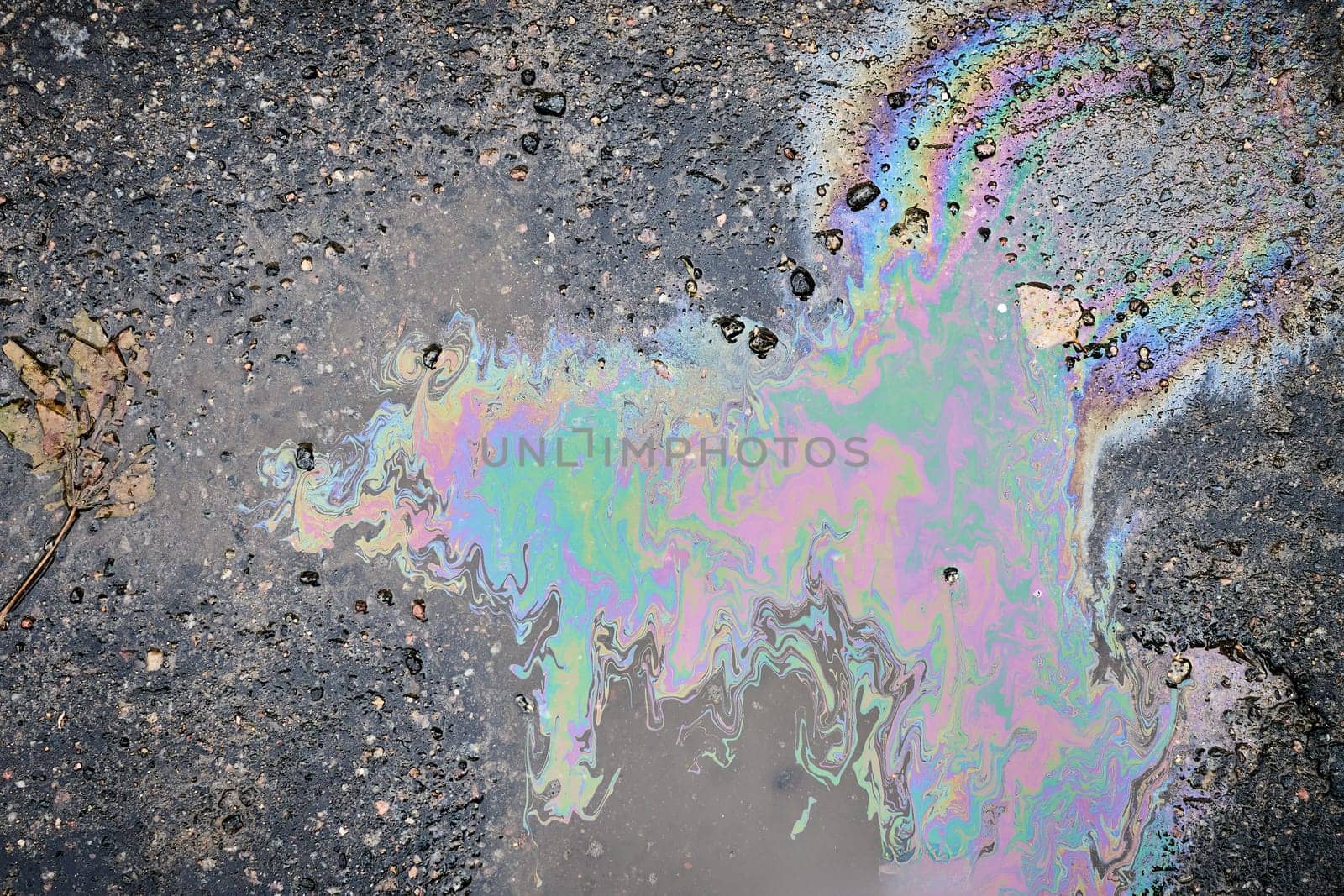 Close-up of shimmering fuel spill on wet asphalt with fallen leaves in autumn time.