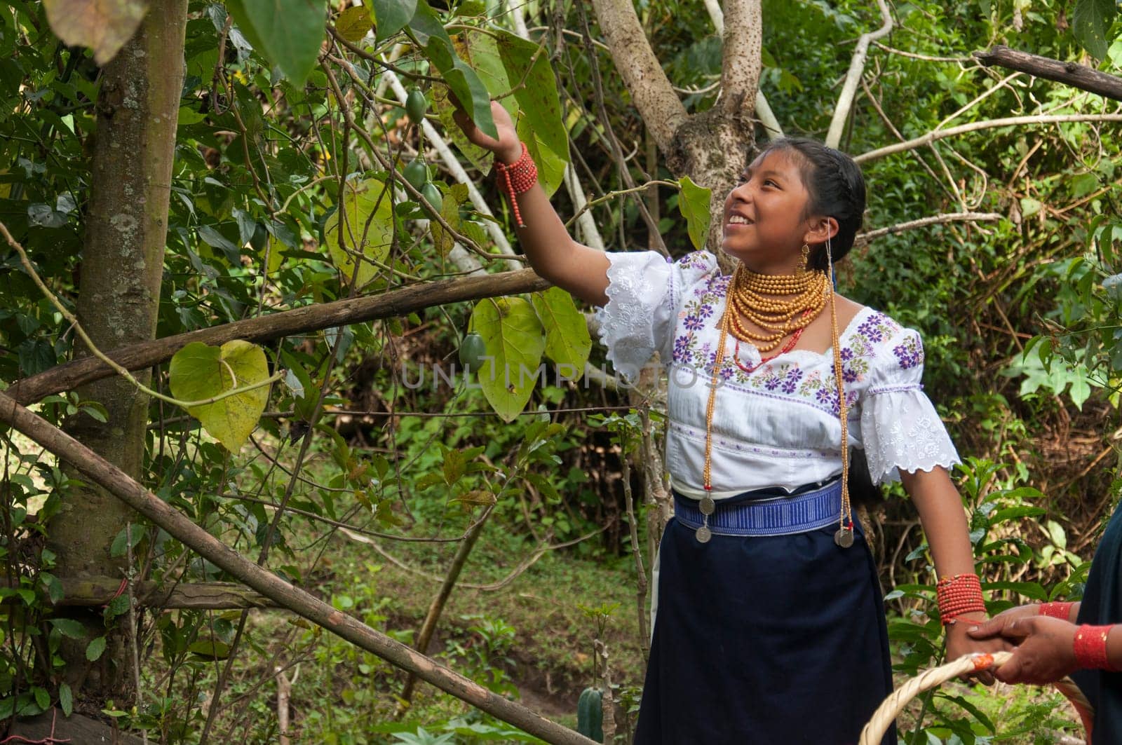 Ecuadorian Joy: A Young Gal in Traditional Attire Pickin' Wild Fruits with a Smile in the Jungle. High quality photo