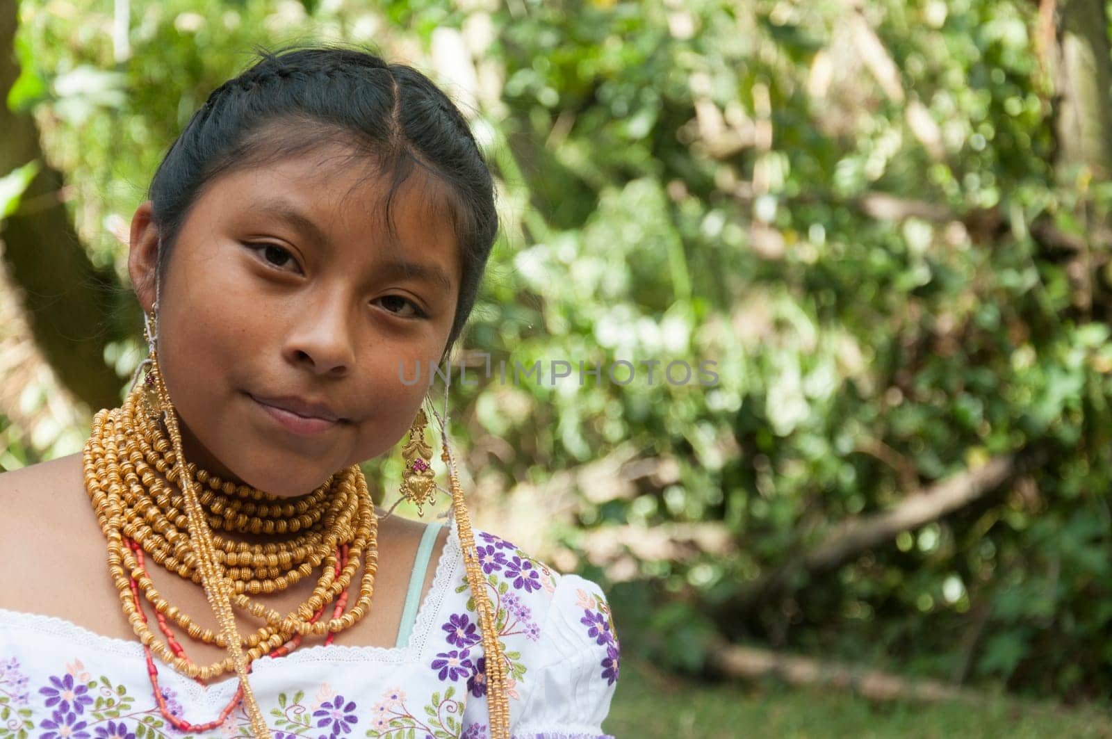Cultural Richness: Close-up Portrait of a Colombian Indigenous Beauty Adorned in Traditional Attire and Gold Jewelry by Raulmartin