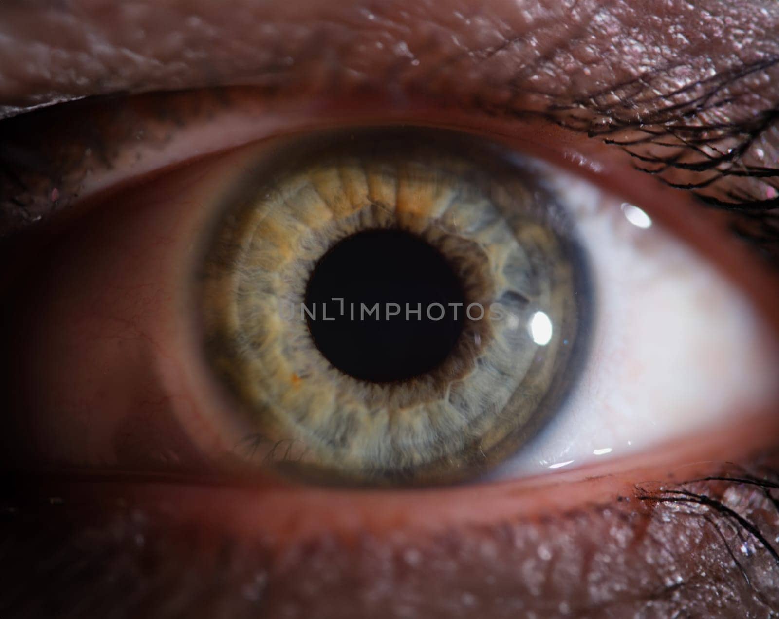 Macro photo of green female beautiful eye closeup. Laser vision correction concept