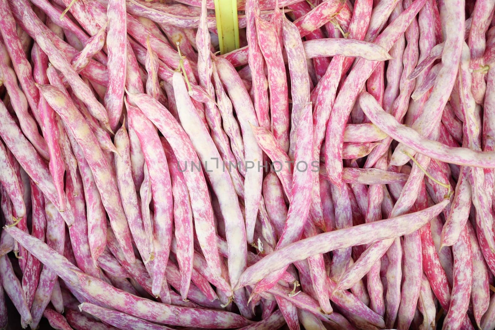 At a farmers market, vibrant purplestriped green beans stand out among fresh produce