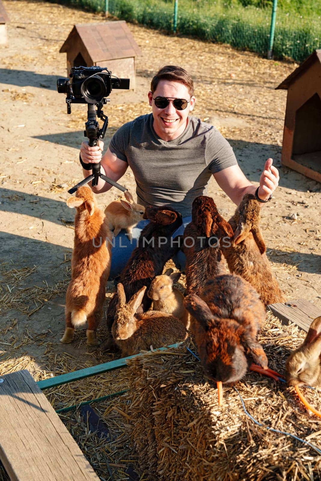 A man films adorable rabbits while kneeling in a sunny farmyard during an afternoon visit