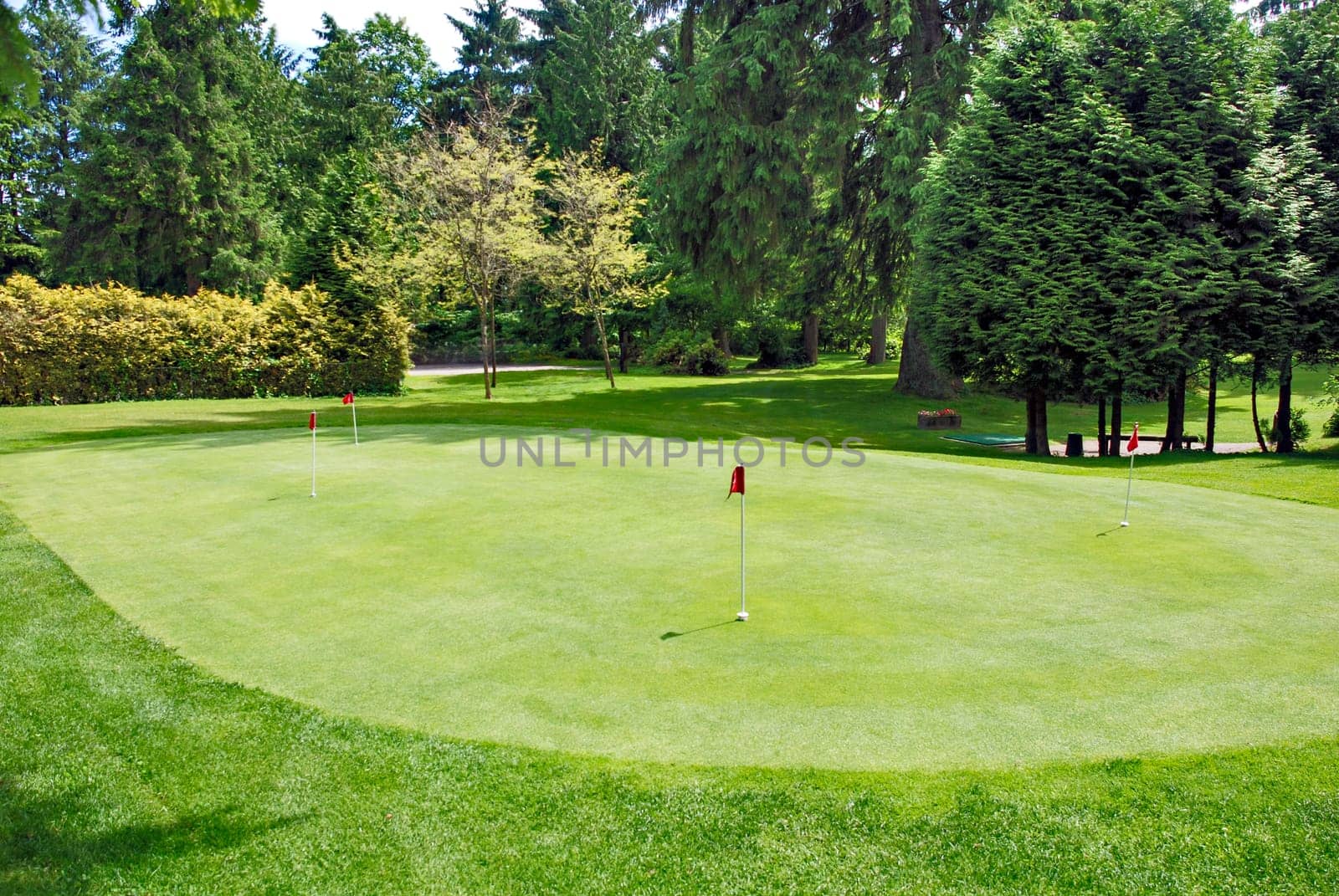 Overview of a golf field with red flags on green lawn.