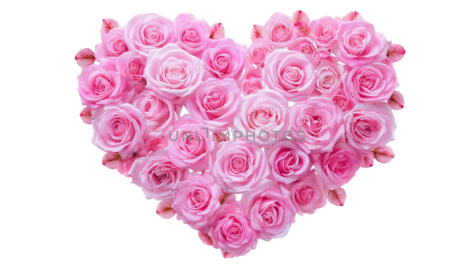 Saint Valentine's Day concept. Heart made of pink roses, symbol of love, valentine's day or wedding flowers, png isolated on transparent or white background. High quality image