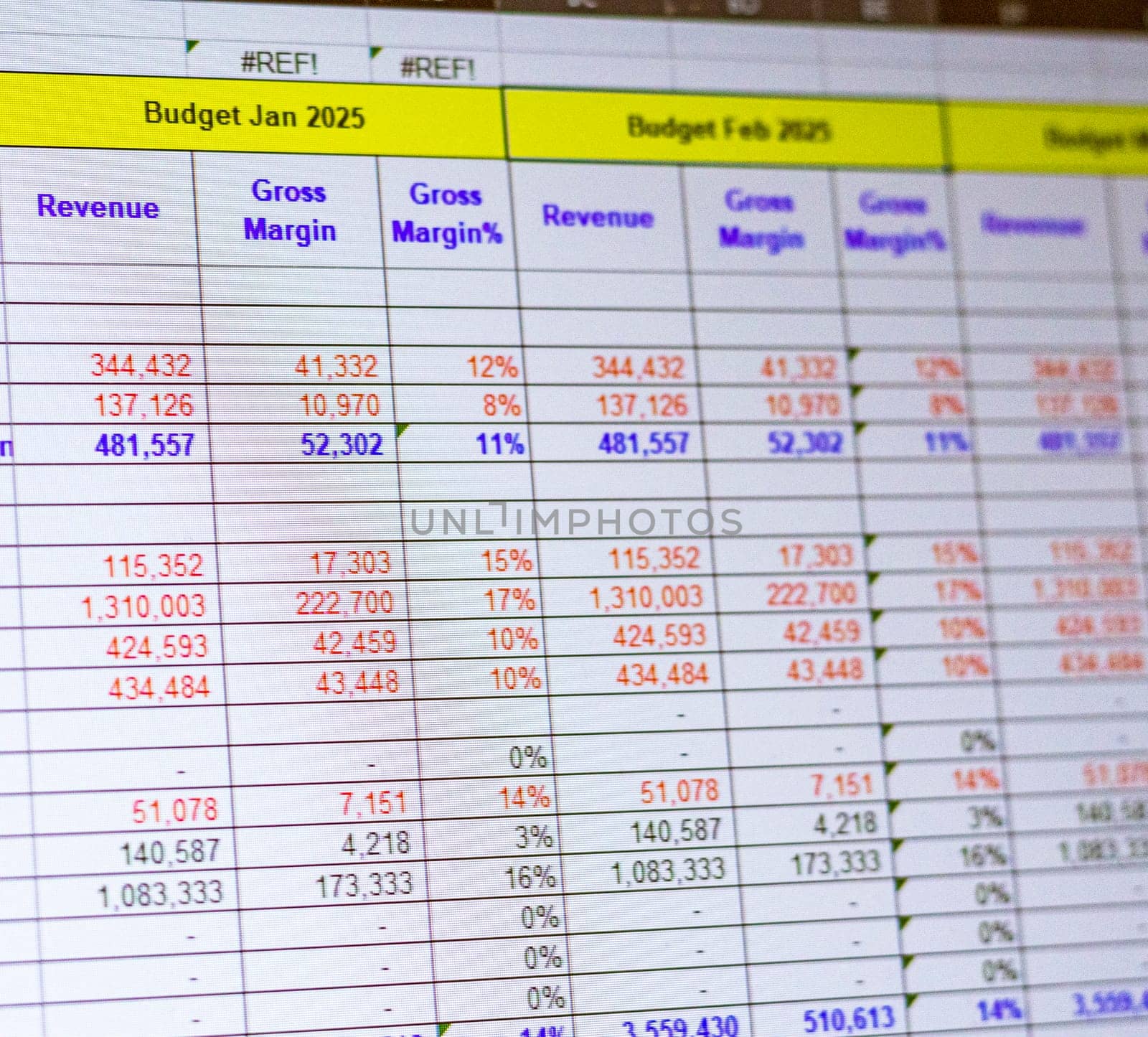 Shot of a computer screen showing excel table with company budget open