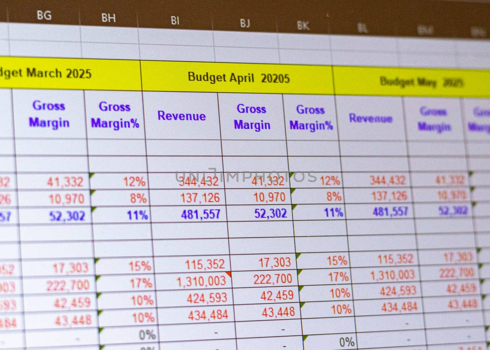 Shot of a computer screen showing excel table with company budget open