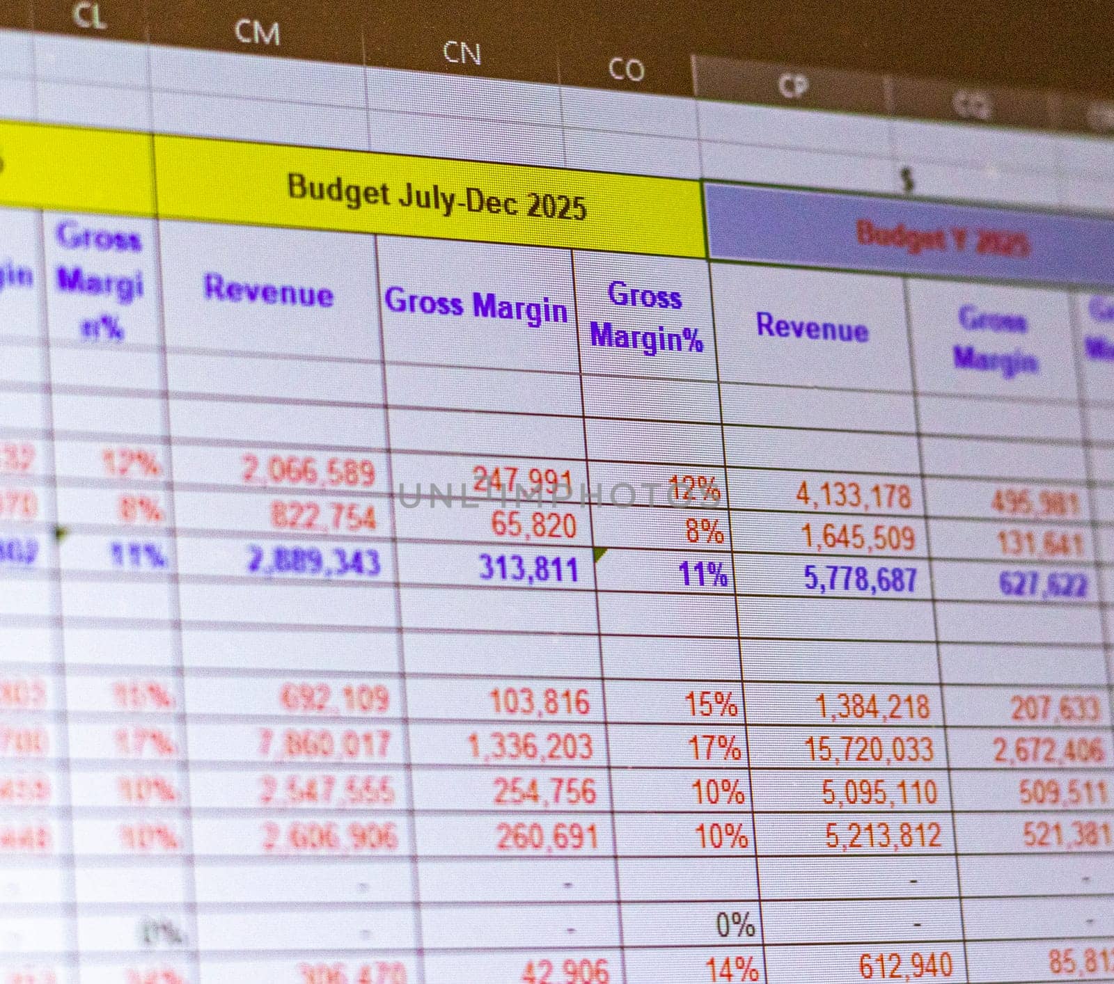 Shot of a computer screen showing excel table with company budget open