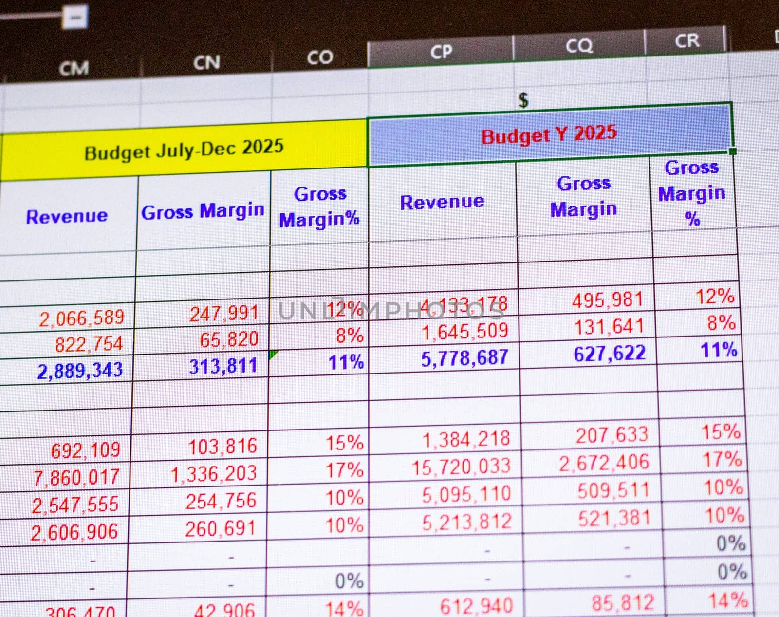 Shot of a computer screen showing excel table with company budget open