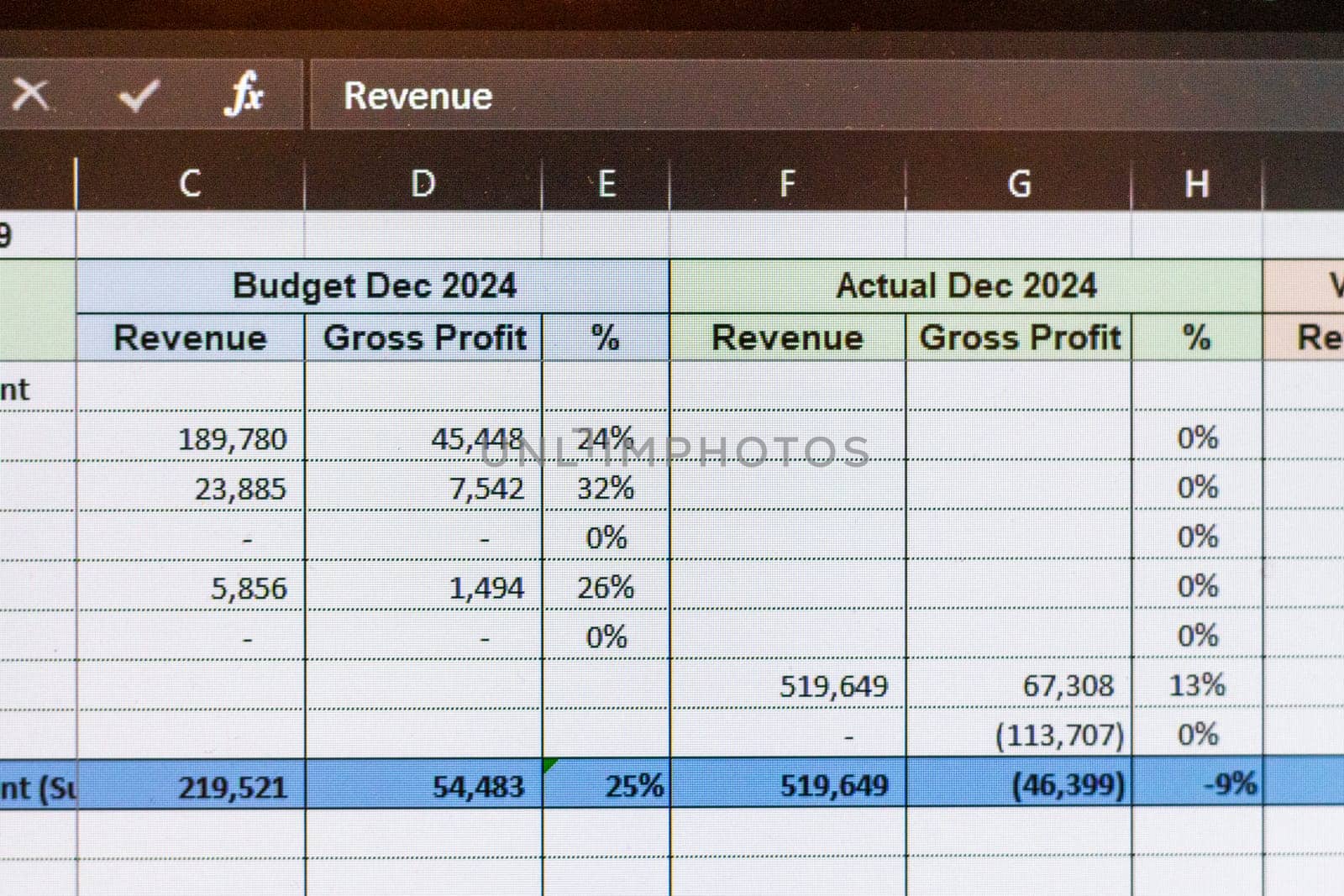 Shot of a computer screen showing excel table with company budget open