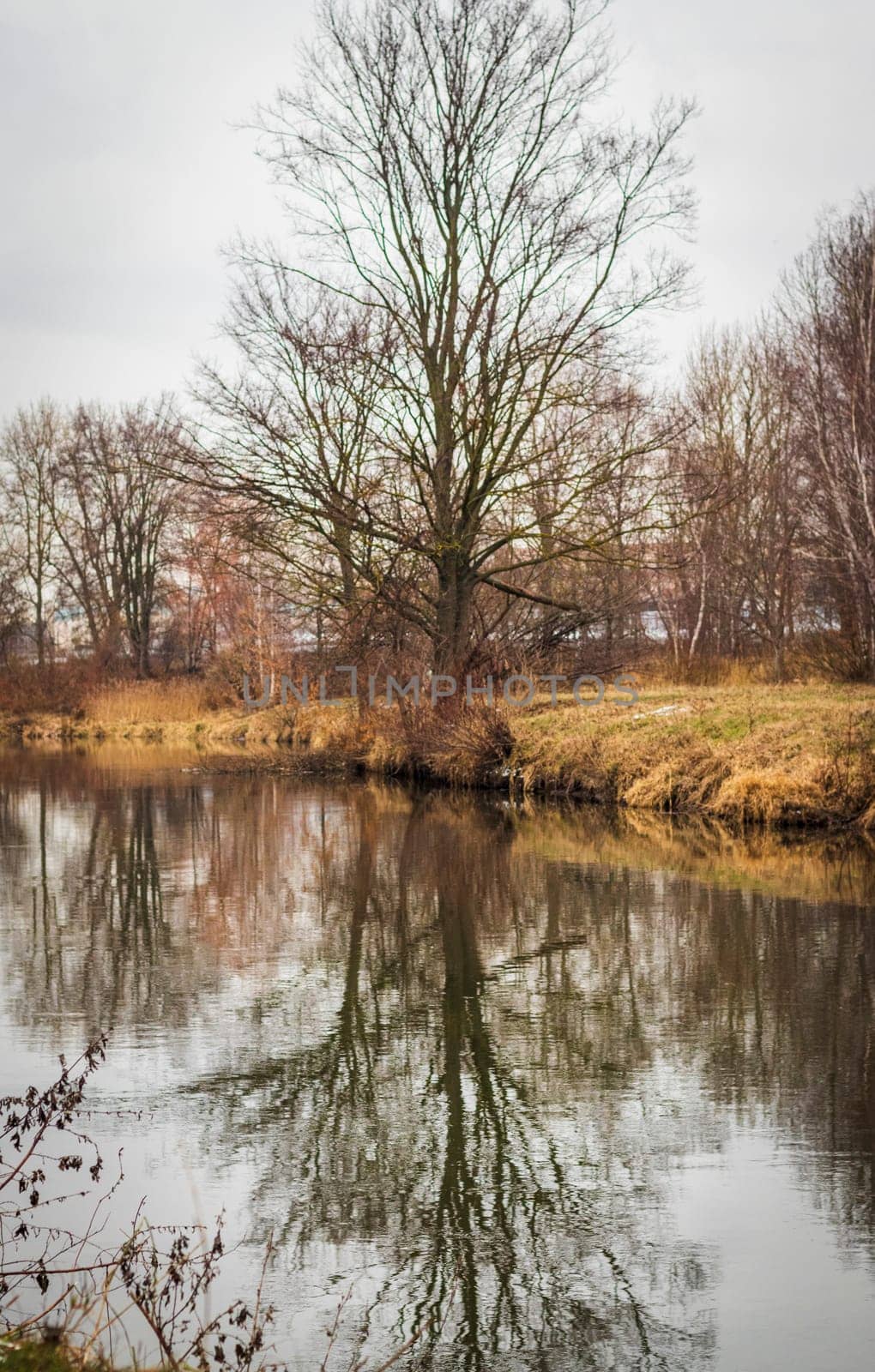 Shot of the river at autumn