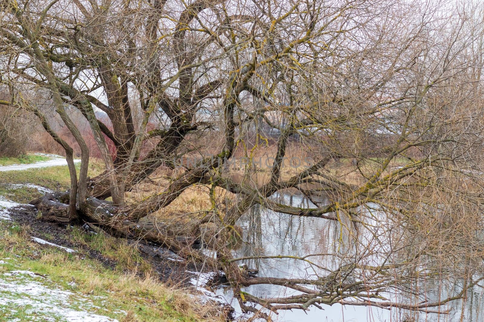 Shot of the river at autumn