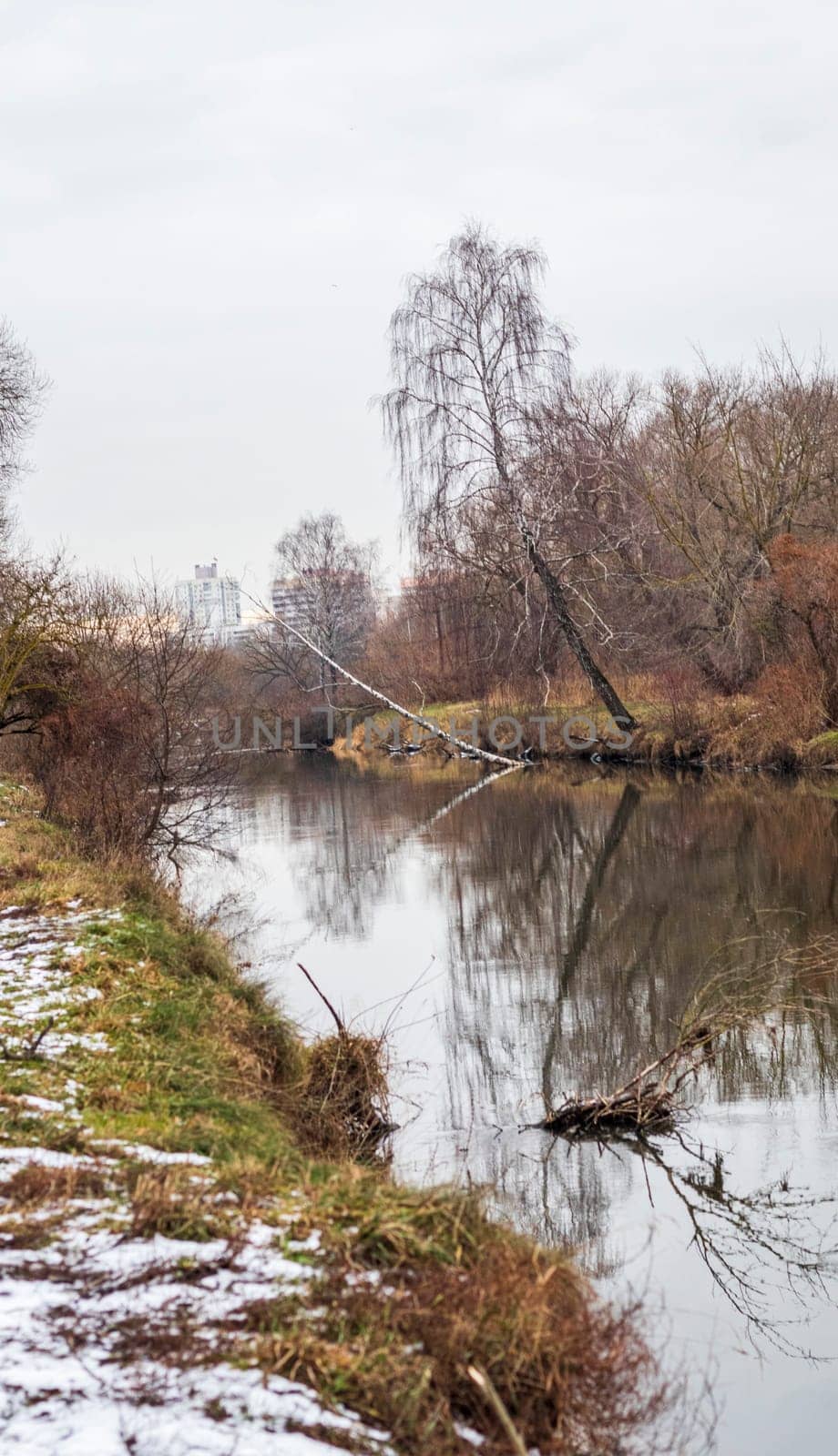 Shot of the river at autumn