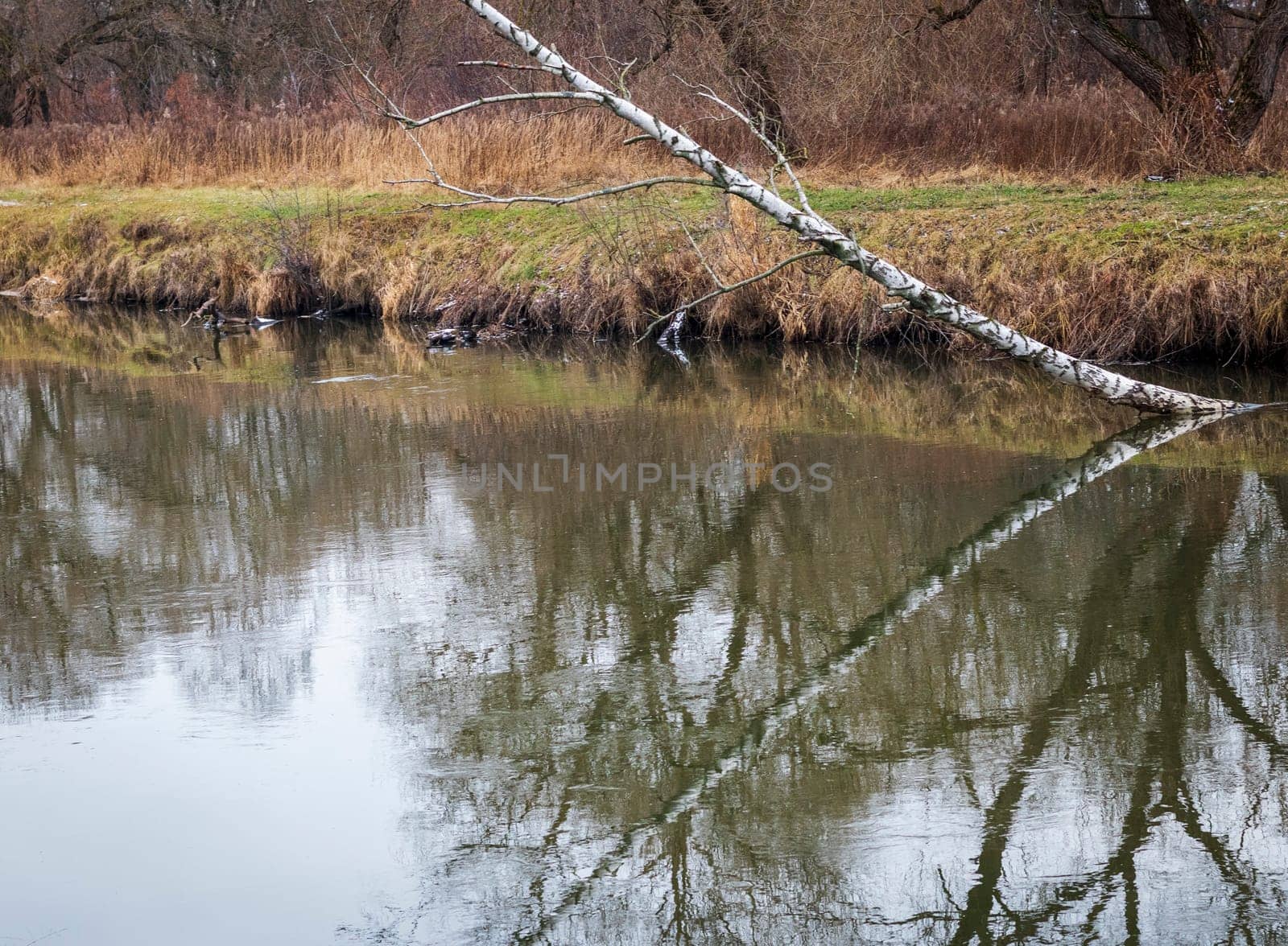 Shot of the river at autumn