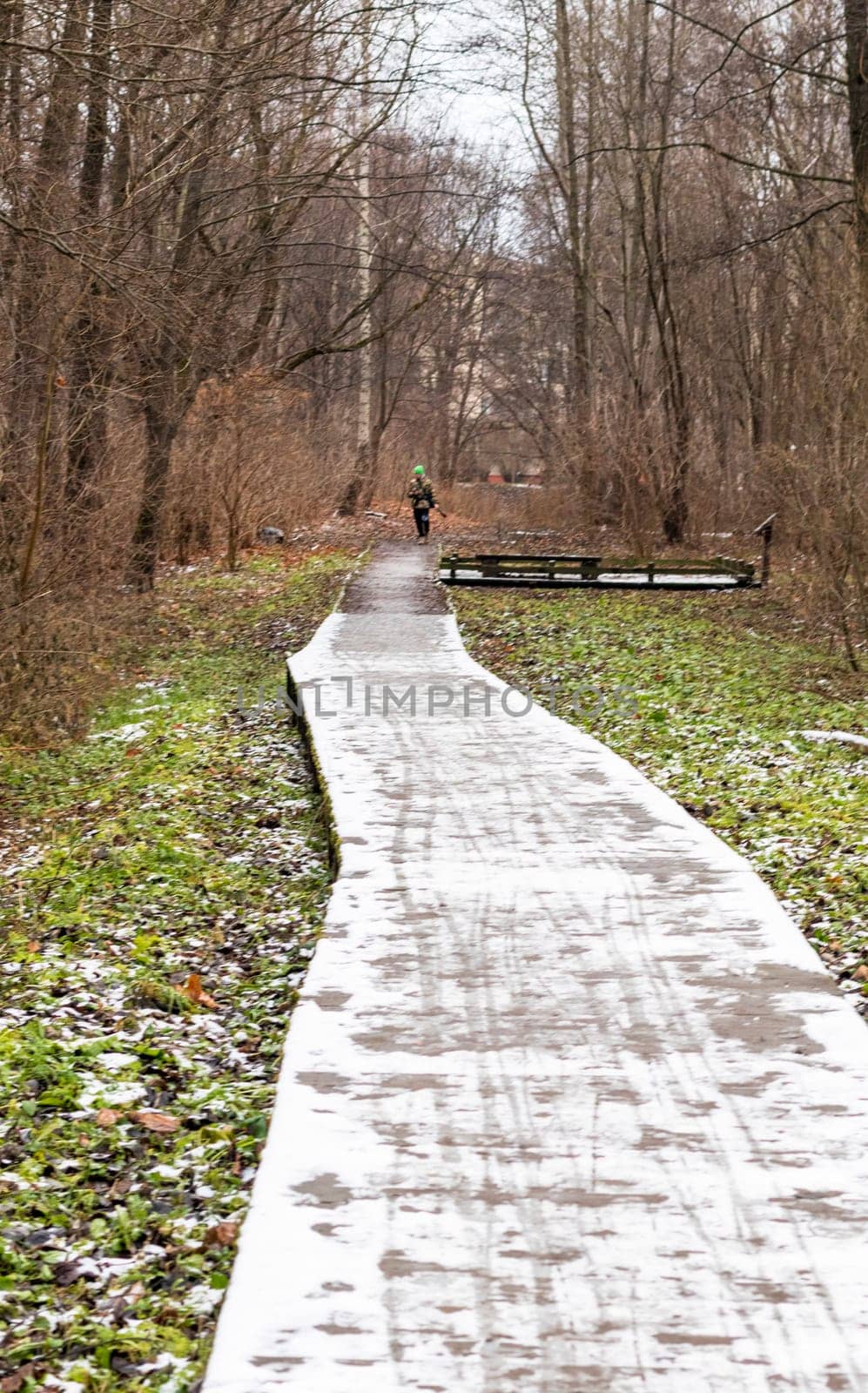 Boy walks his dog in the winter park