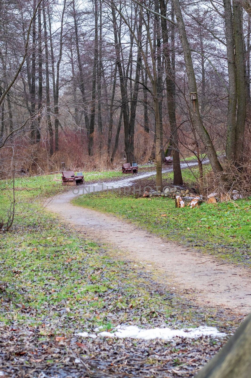Shot of the autumn park