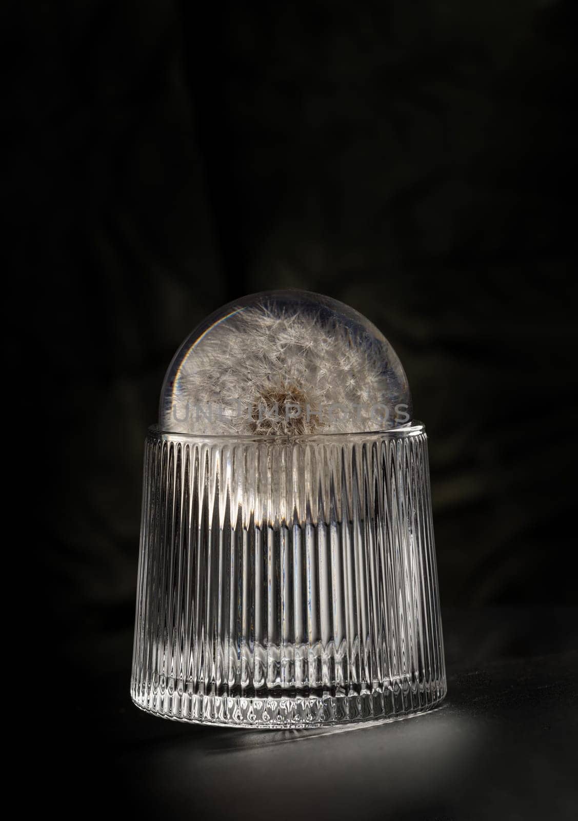 Design elements of Round crystal with preserved fresh flower dandelion on Whiskey glass on dark background with reflection. use it as your Wallpaper, Poster and Space for text, Selective focus.