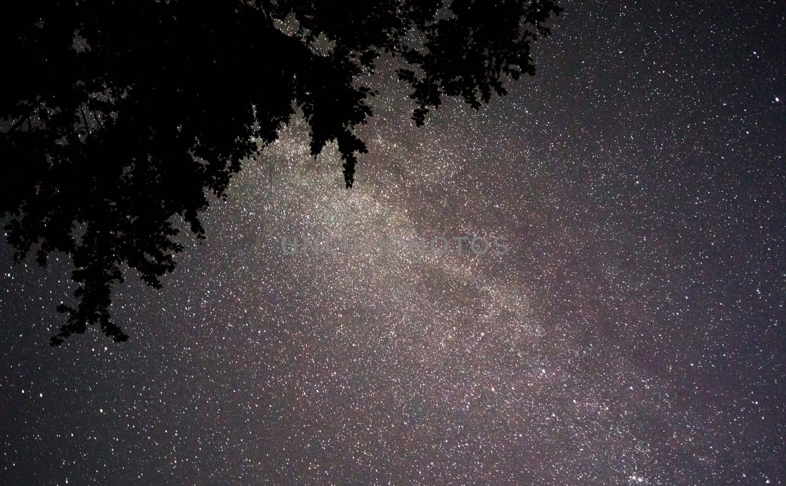 A Magical and Beautiful milkyway pictures