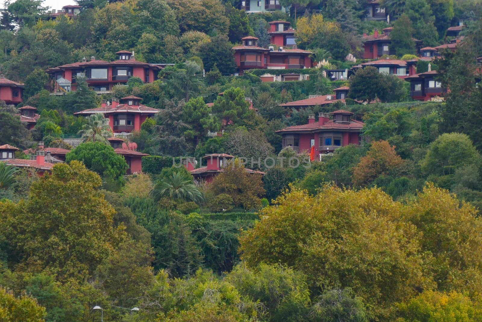 A picturesque hillside with charming redroofed homes surrounded by vibrant, colorful foliage