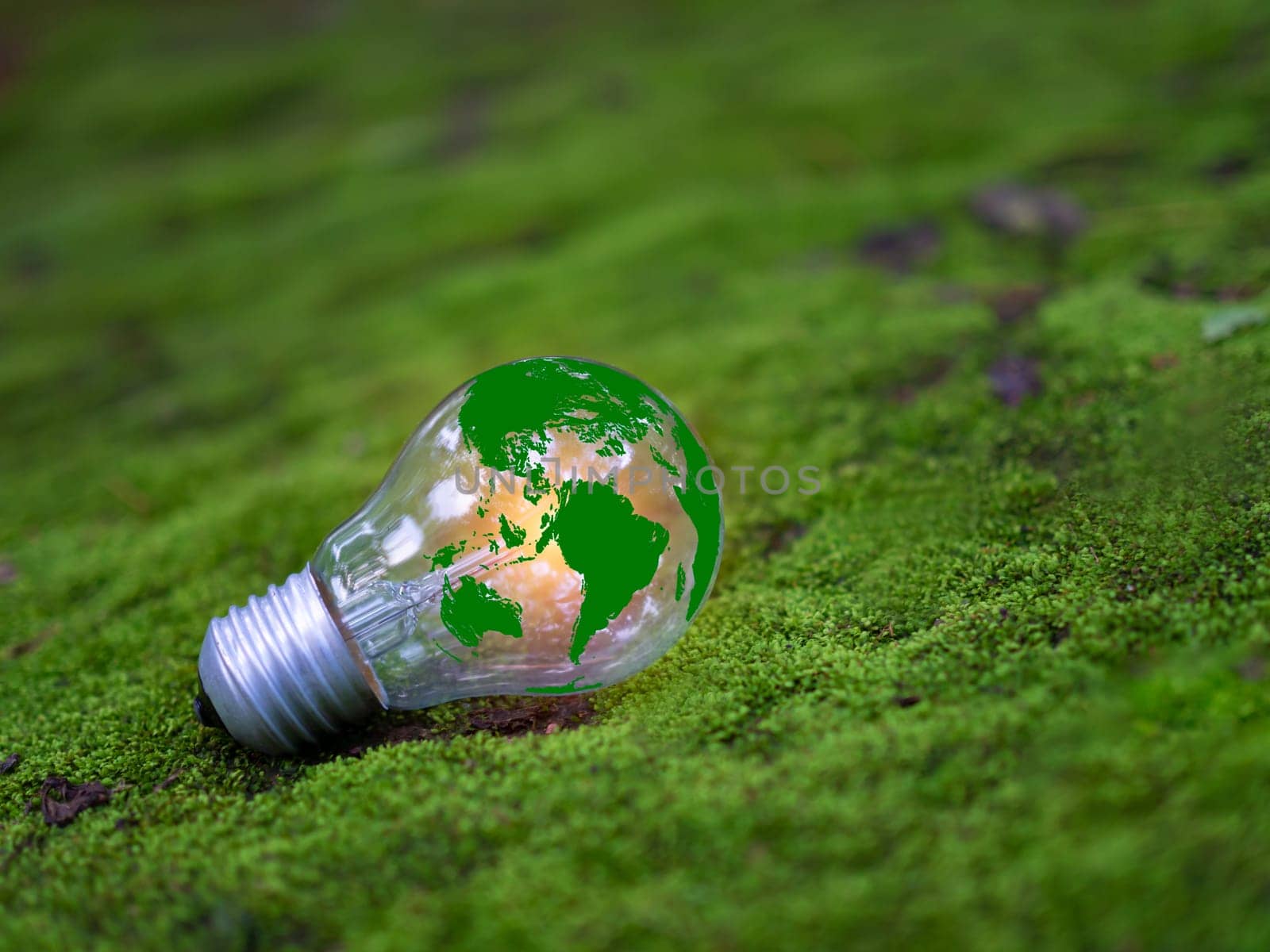 Concept of renewable energy, environmental protection, and sustainable renewable energy sources. Green world map on a light bulb set on a background with green moss. Green energy.