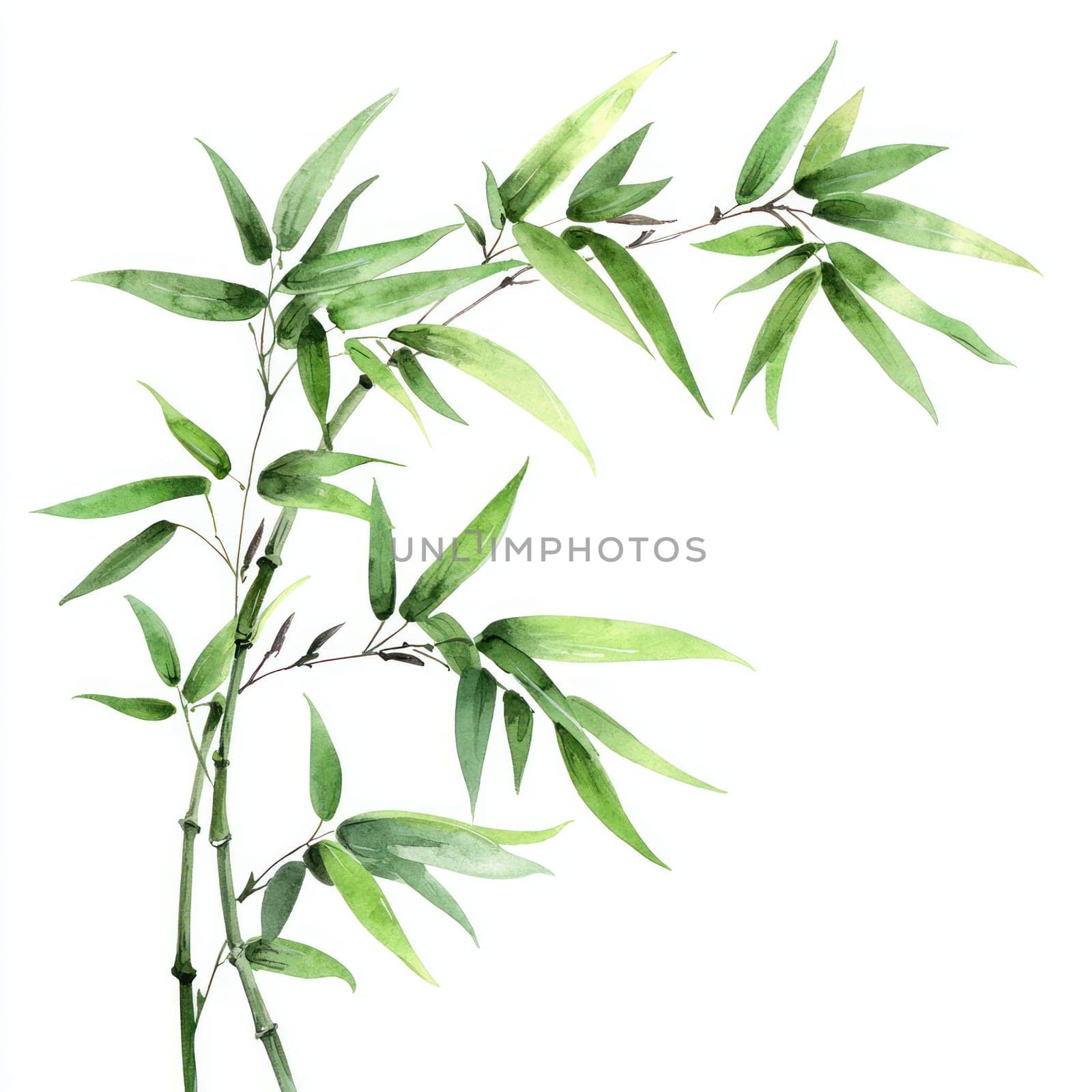 A Watercolor bamboo branch with vibrant green leaves, showcasing nature beauty and tranquility