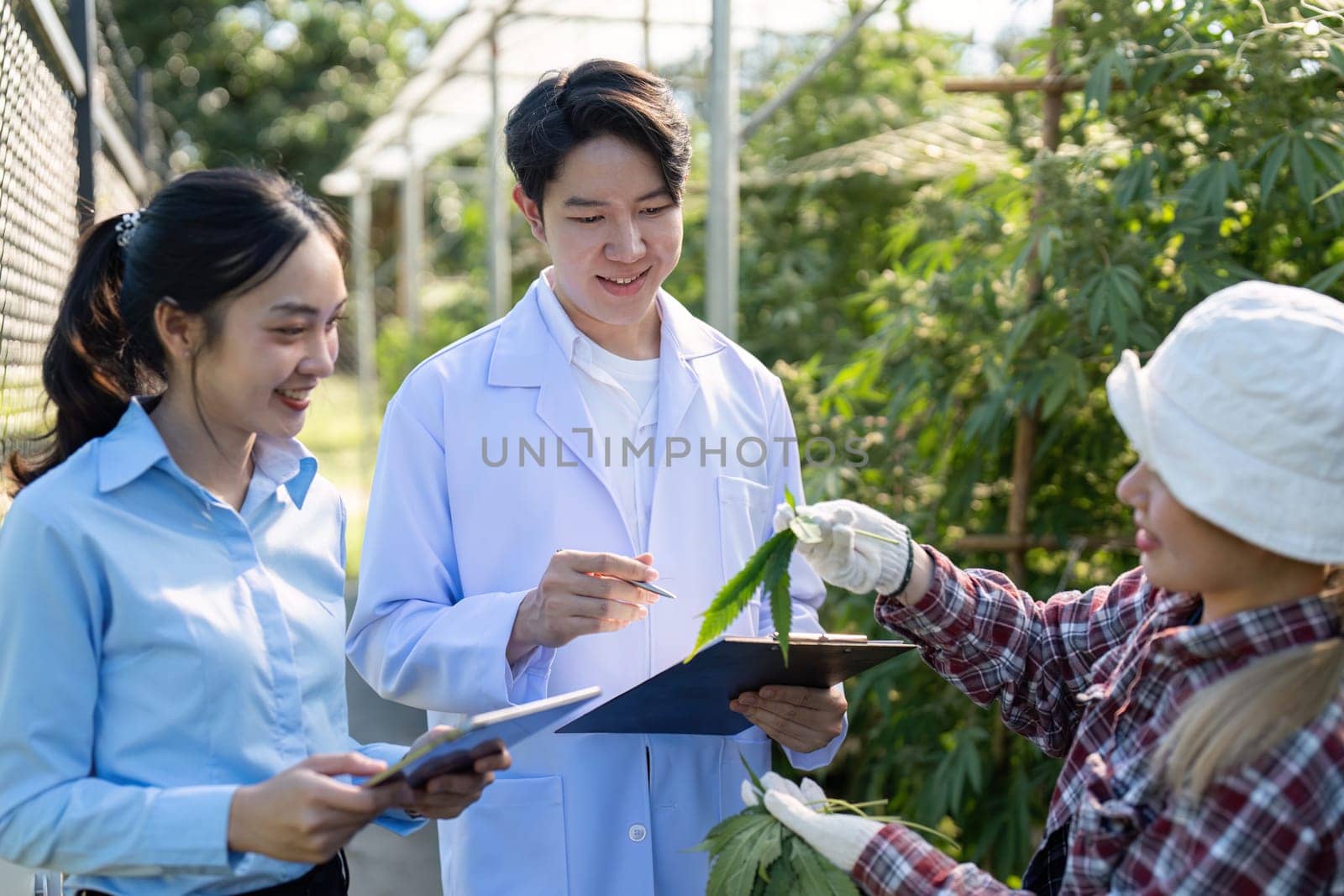 Students engage in cannabis research examining plant growth in a greenhouse fostering learning and collaboration.