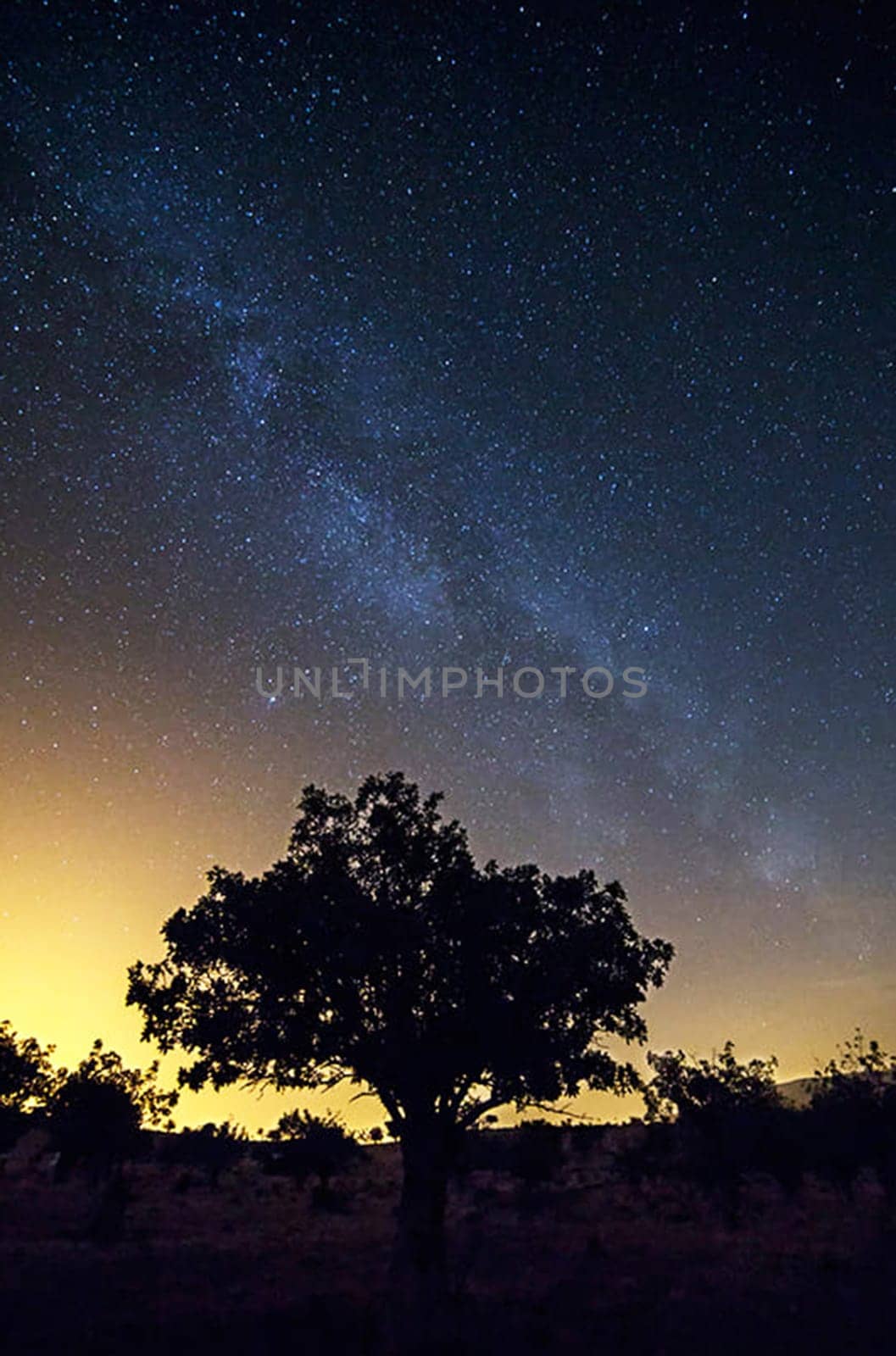 A Beautiful and Creative milkyway pictures