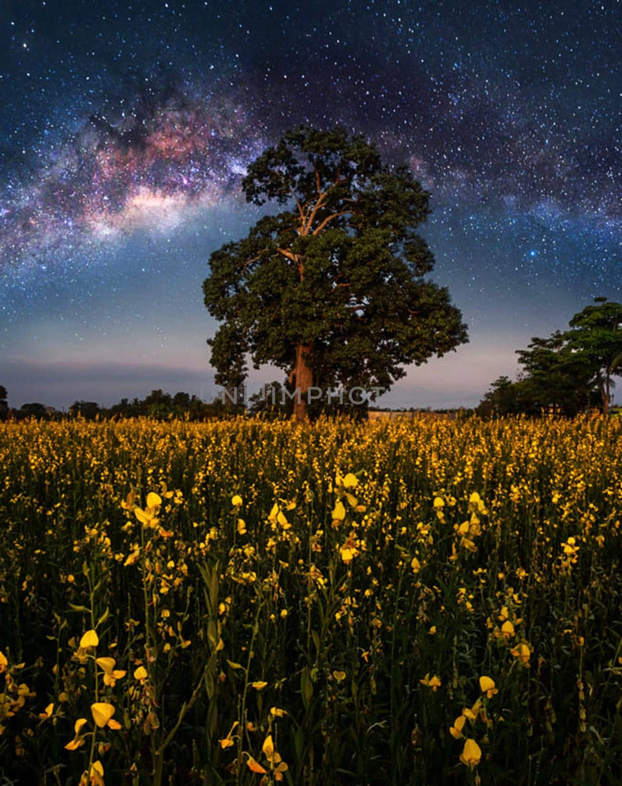 A Magical and Beautiful milkyway pictures