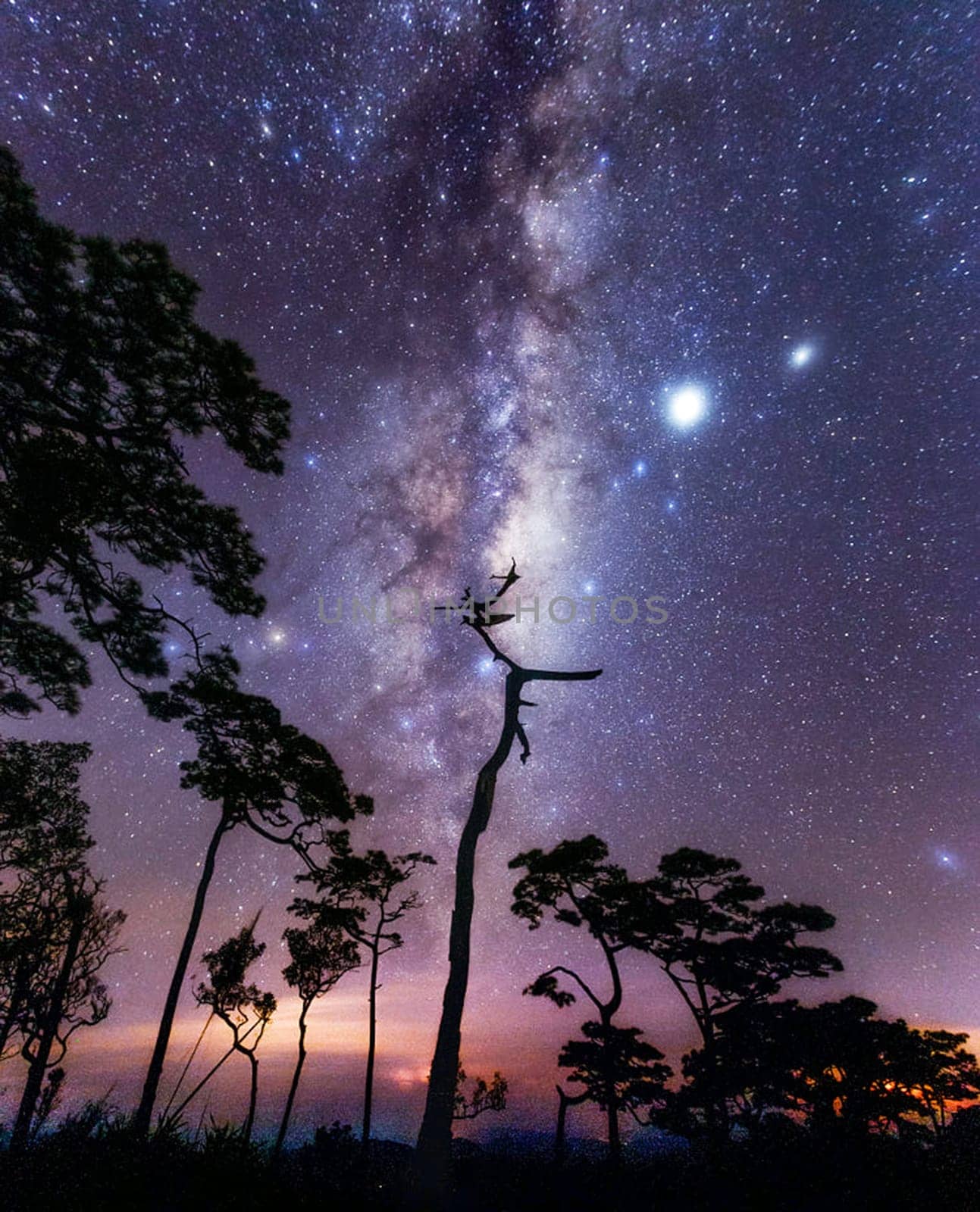 A Magical and Beautiful milkyway pictures