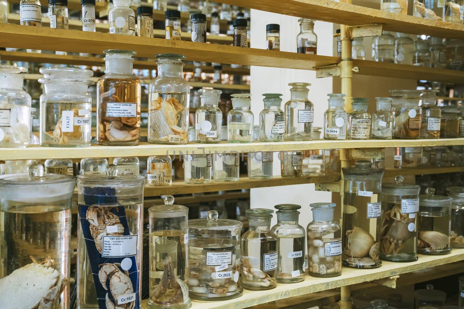 flasks and test tubes with samples of organisms in formaldehyde on shelf of a scientific secret biochemical laboratory