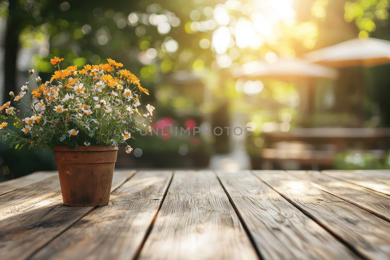 A charming arrangement of colorful potted flowers on a rustic wooden table, illuminated by warm sunlight in a peaceful garden. Perfect for nature themes.