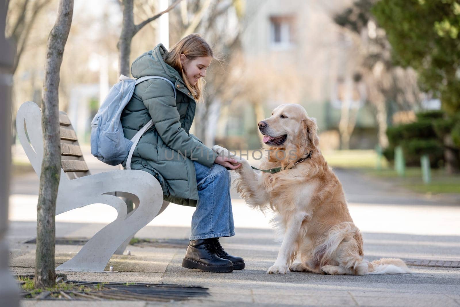 10-Year-Old Girl Sits On Bench, Giving Paw To Golden Retriever Dog, In Spring Outdoors