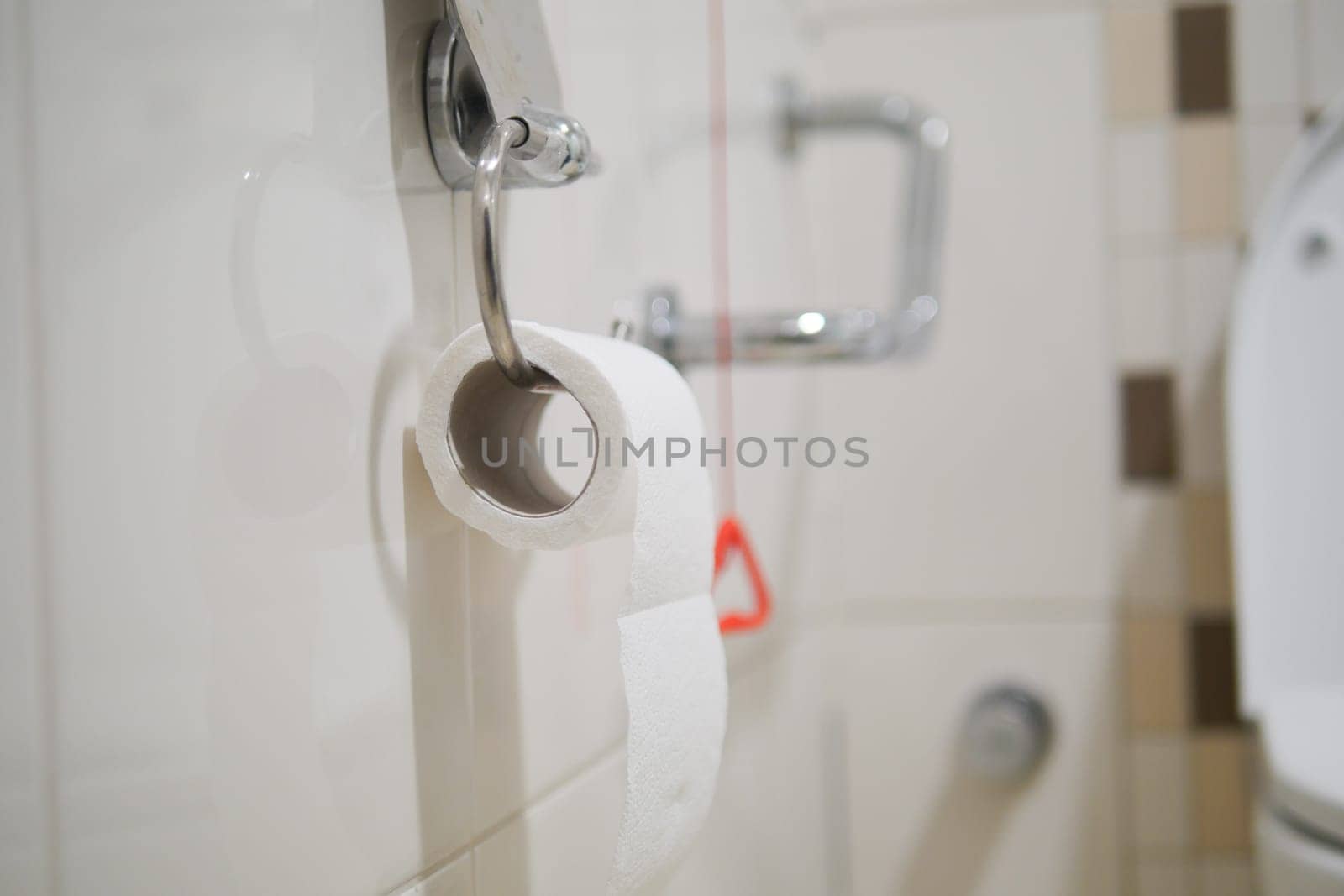 A closeup of a stylish toilet paper roll in a modern bathroom, showcasing design and utility