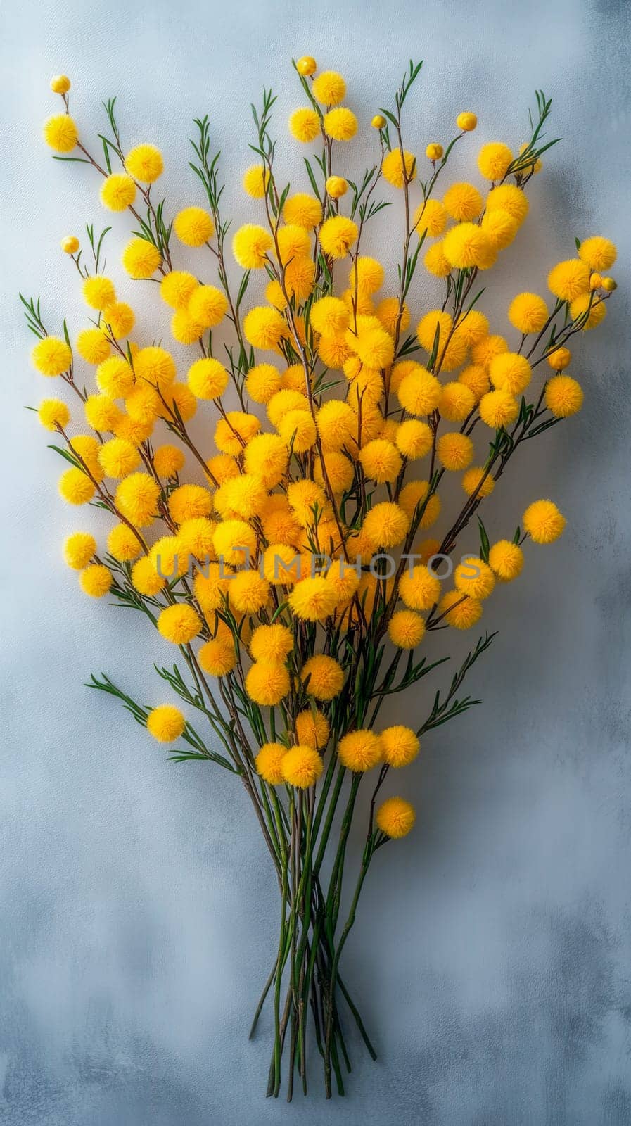 Elegant bouquet of golden mimosa flowers on a soft blue background, symbolizing Women's Day celebrations. Space for adding text available