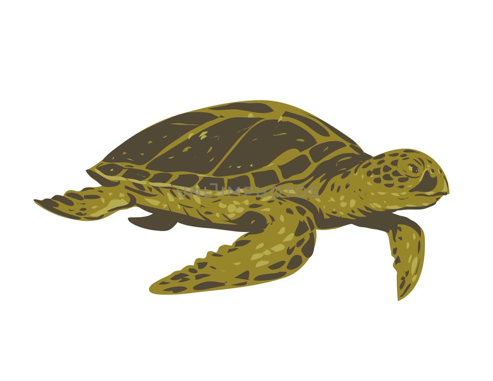 WPA poster art of a green sea turtle, also known as the green turtle, black turtle or Pacific green turtle swimming viewed from side done in works project administration or federal art project style.
