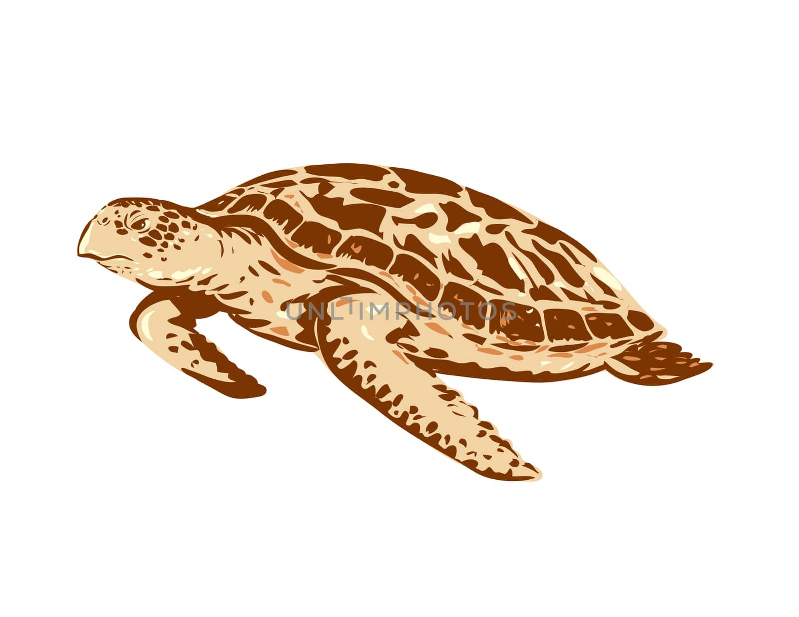 Hawksbill Sea Turtle or Eretmochelys Imbricata Side View WPA Art by patrimonio