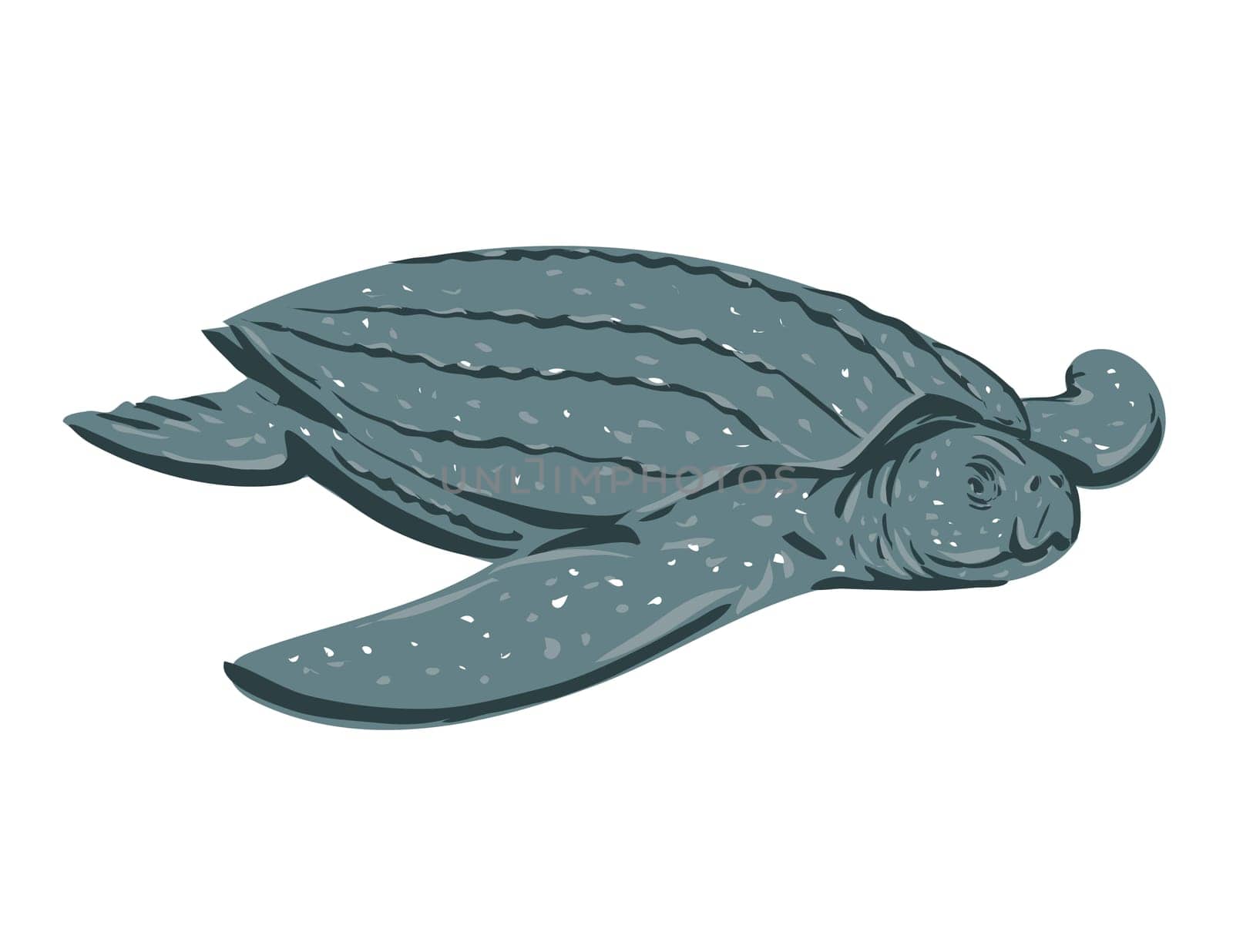 Leatherback Sea Turtle Dermochelys Coriacea or Lute Turtle Front View WPA Art by patrimonio