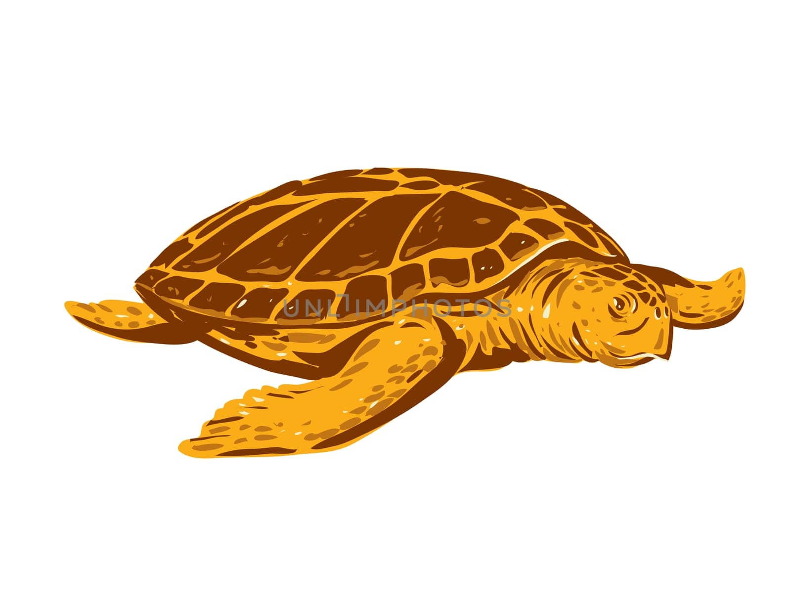 WPA poster art of a loggerhead sea turtle or Caretta caretta, a species of oceanic turtle viewed from front done in works project administration or federal art project style.
