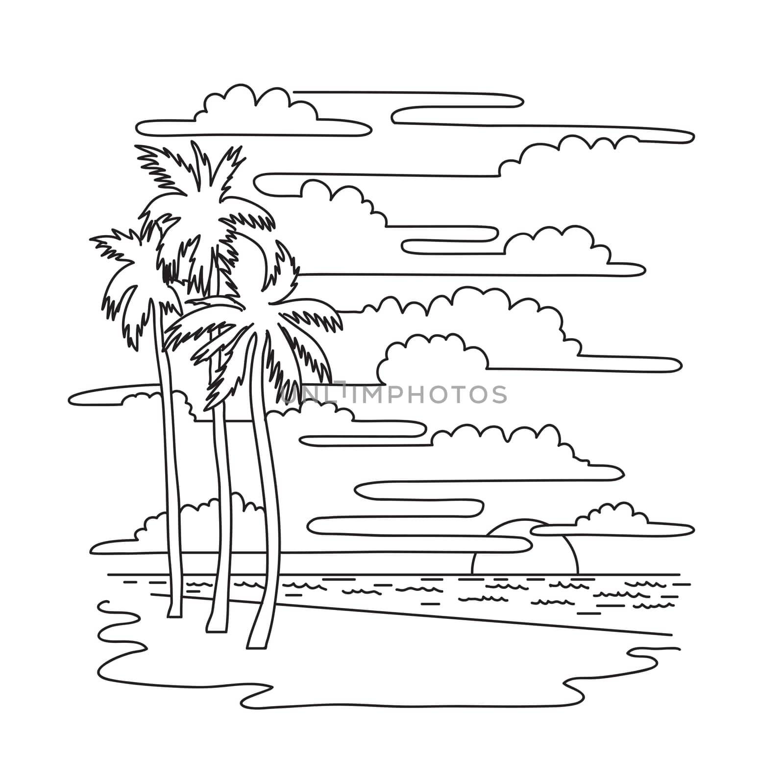 Mono line illustration of palm trees in Hollywood Beach located between Fort Lauderdale and Miami Beach in South Florida, USA  done in monoline line art black and white style.
