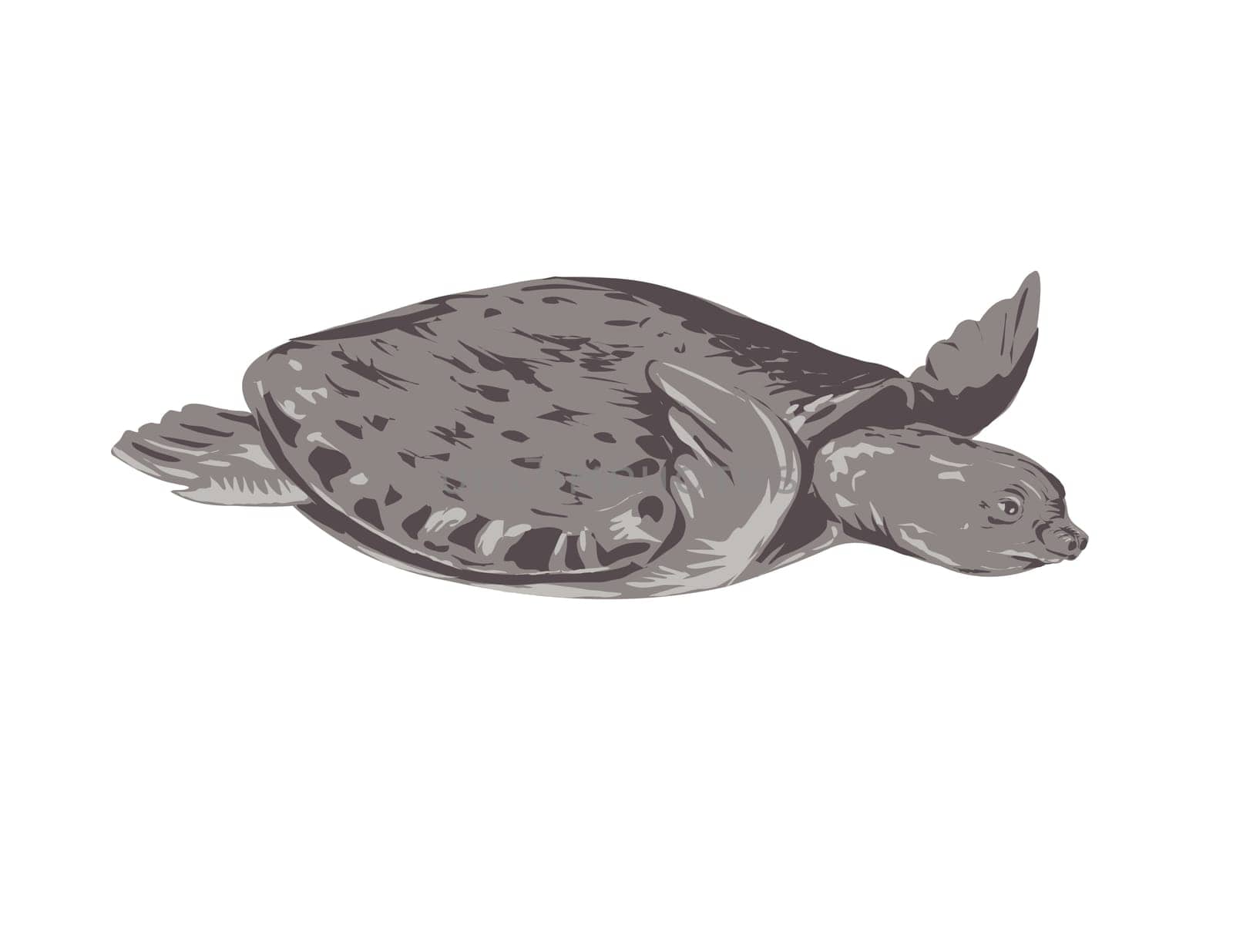 Pig-Nosed Turtle or Carettochelys Insculpta Side View WPA Art by patrimonio