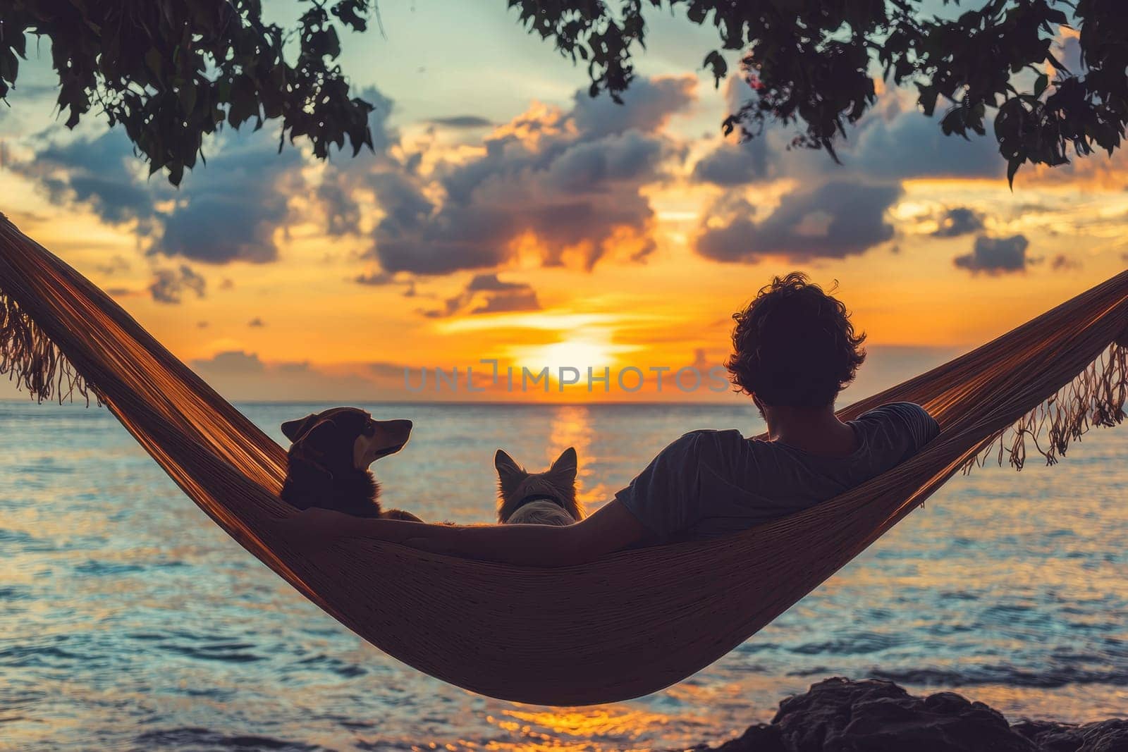 A beautiful scene of an owner and their two dogs relaxing in a hammock during a stunning sunset by the ocean. The warm colors and tranquil atmosphere create a perfect moment of peace and companionship.