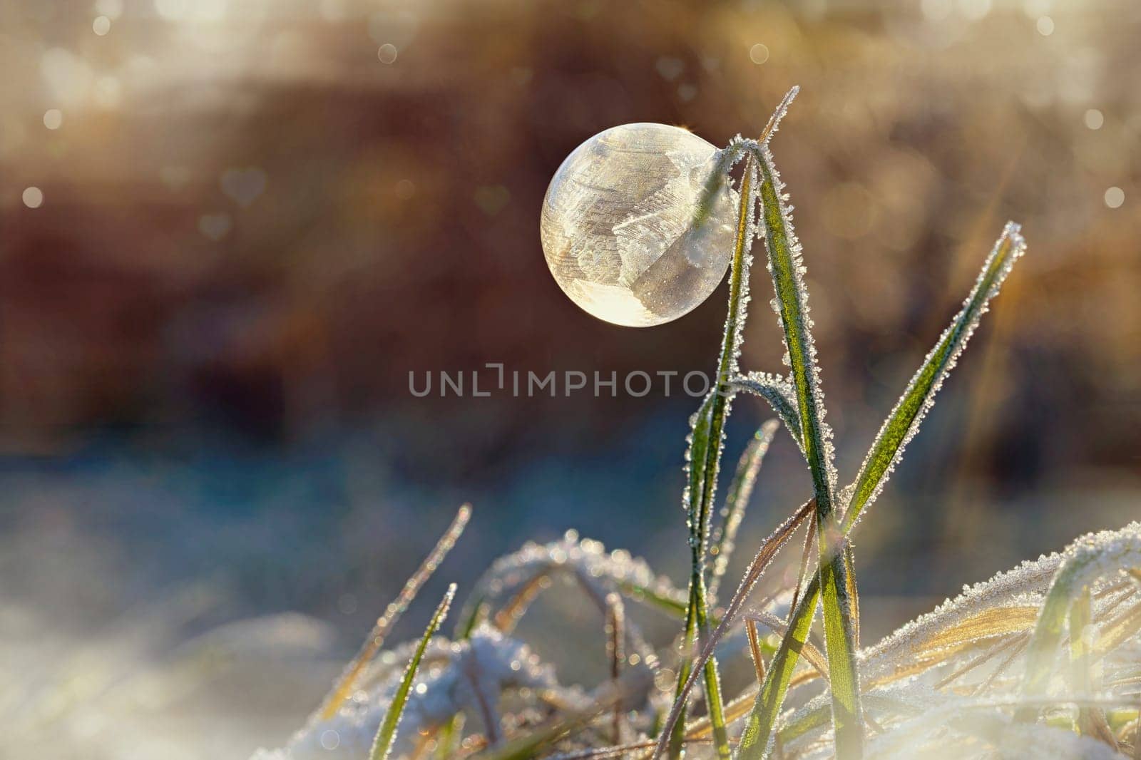 Frozen bubble in nature. A beautiful macro shot of nature in winter. Concept for environment, water and frost.
