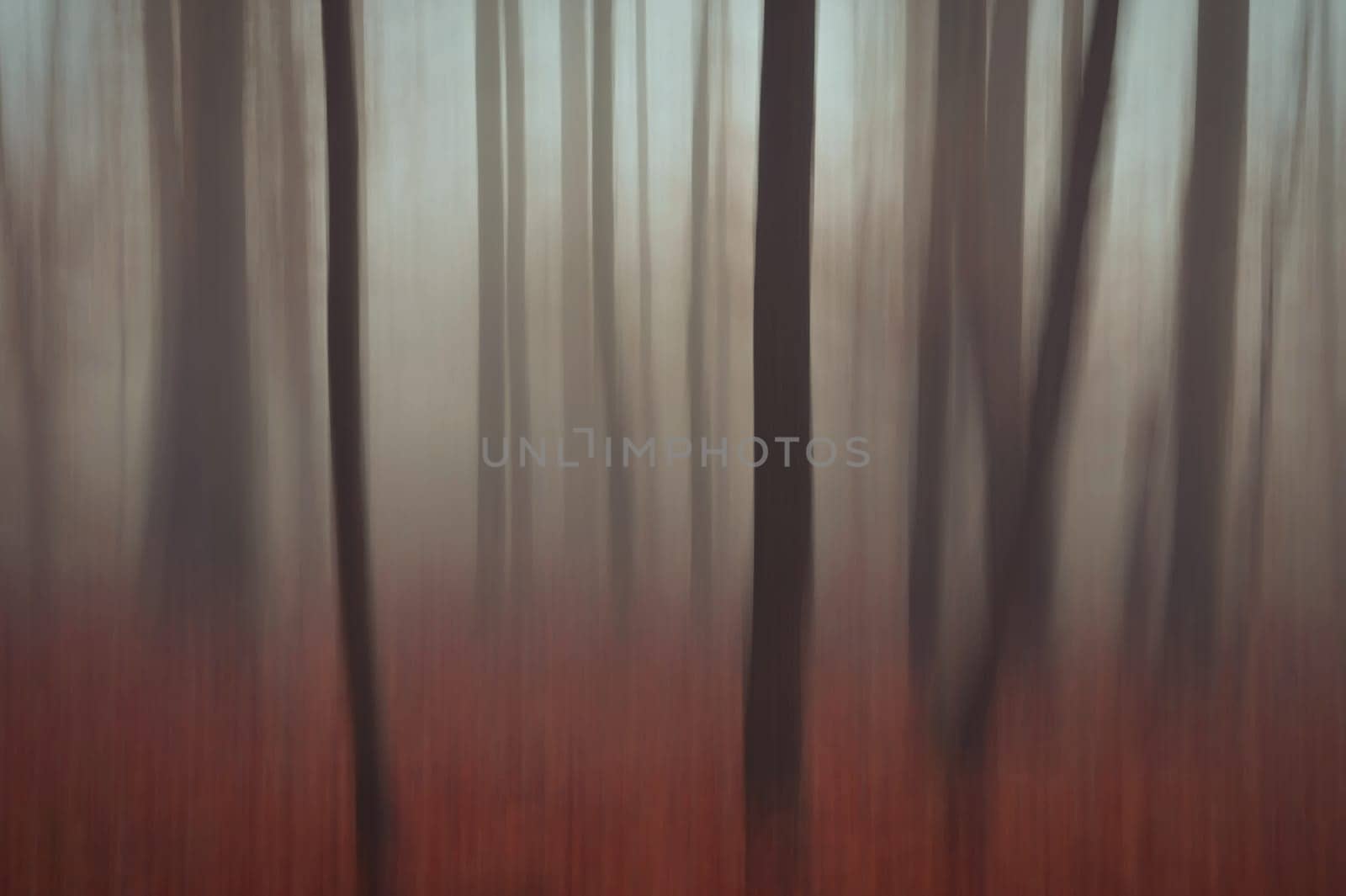 Trees in the forest with fog. Blurred - photographed with movement as art. Concept for landscape with winter nature. Cold weather with fog in winter time.