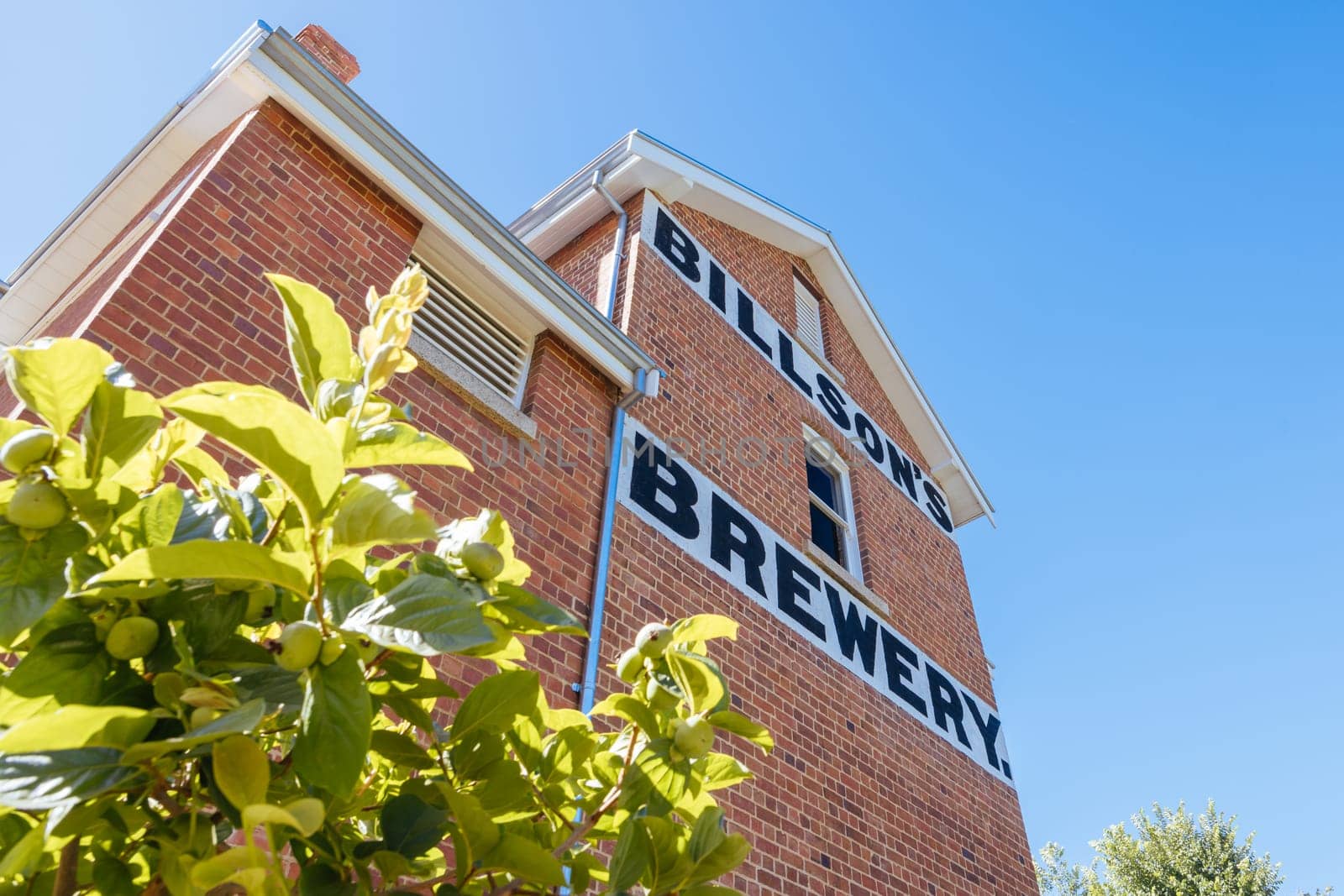 BEECHWORTH, AUSTRALIA - JANUARY 1 2025: Billson's Brewery in historic Beechworth town centre on a warm summer's day in Victoria, Australia on January 1st, 2025