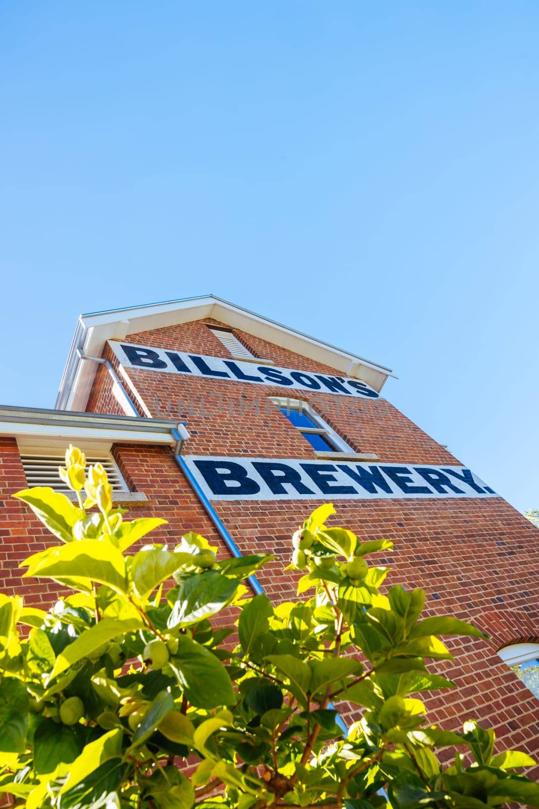BEECHWORTH, AUSTRALIA - JANUARY 1 2025: Billson's Brewery in historic Beechworth town centre on a warm summer's day in Victoria, Australia on January 1st, 2025