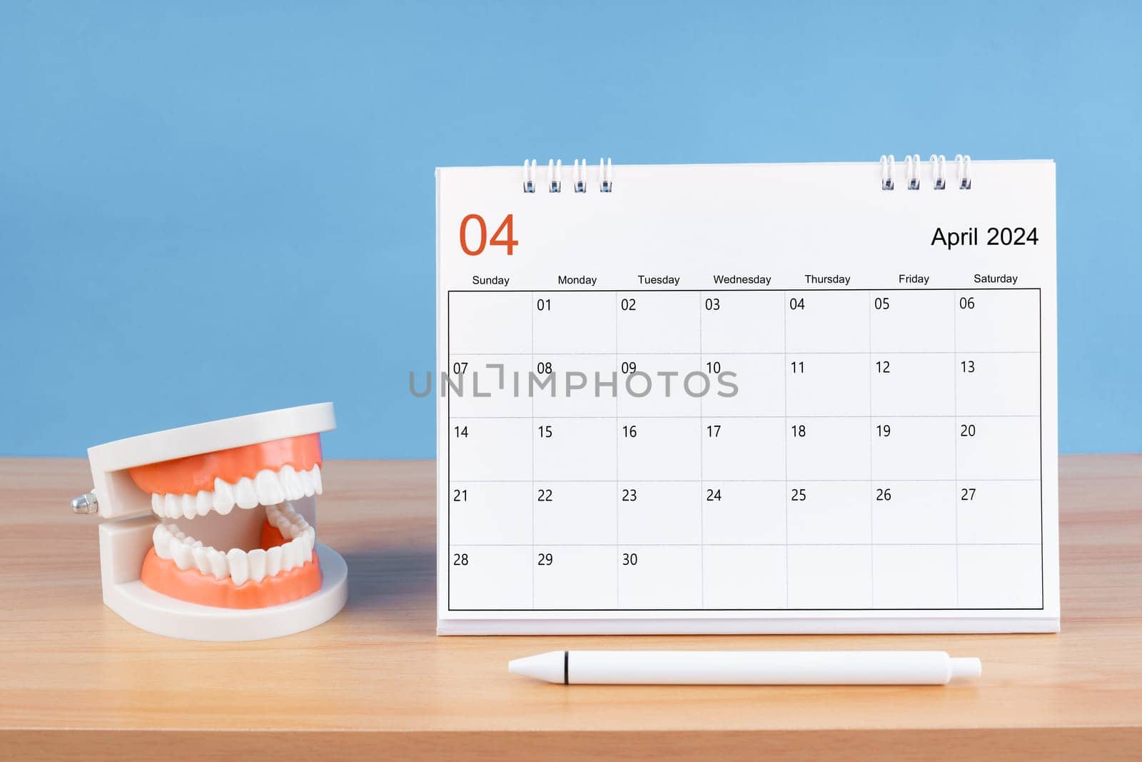 April monthly desk calendar for 2024 year and model dentures on the table. Dental health concepts.