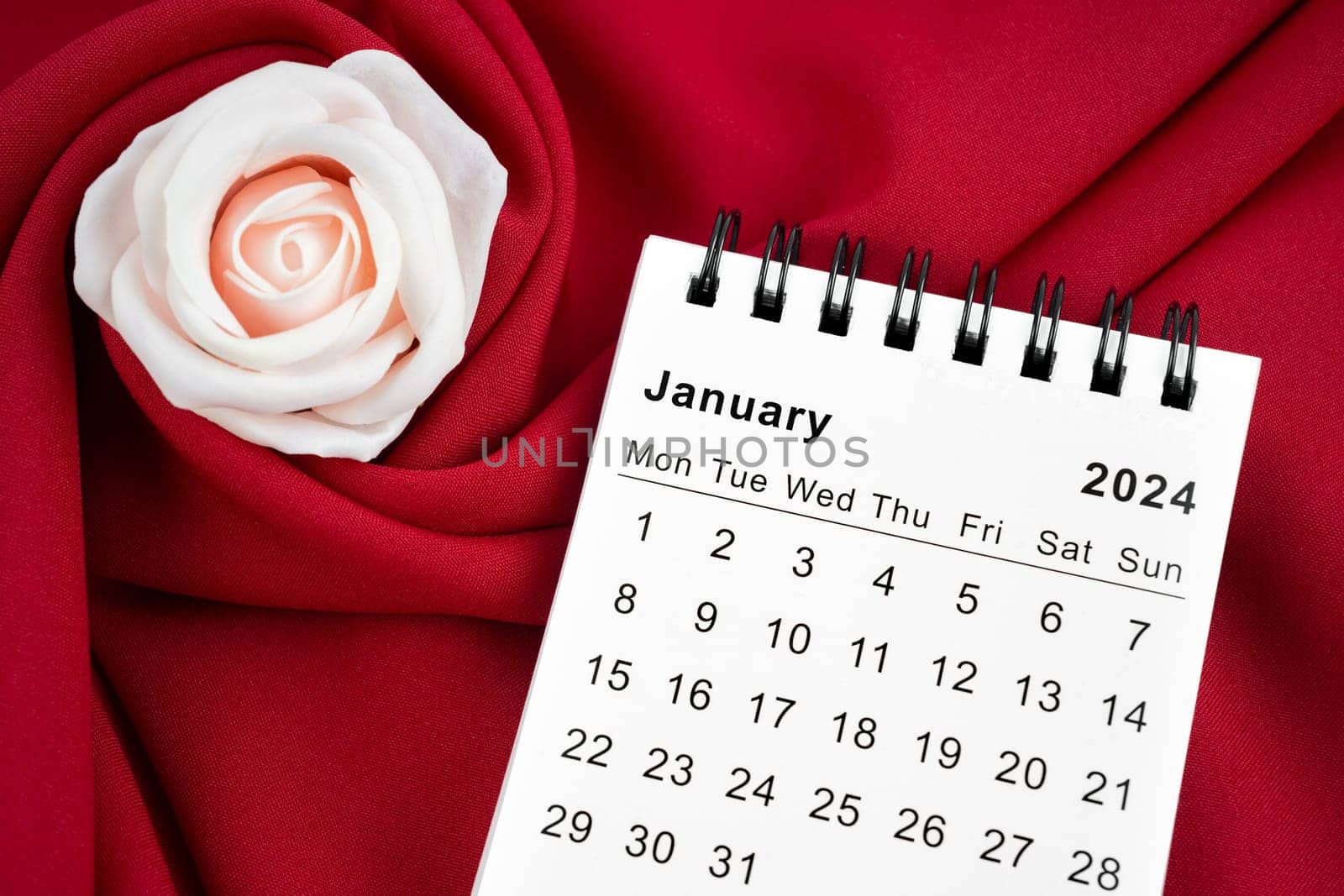 January 2024 desk calendar and pink rose on red textile background.