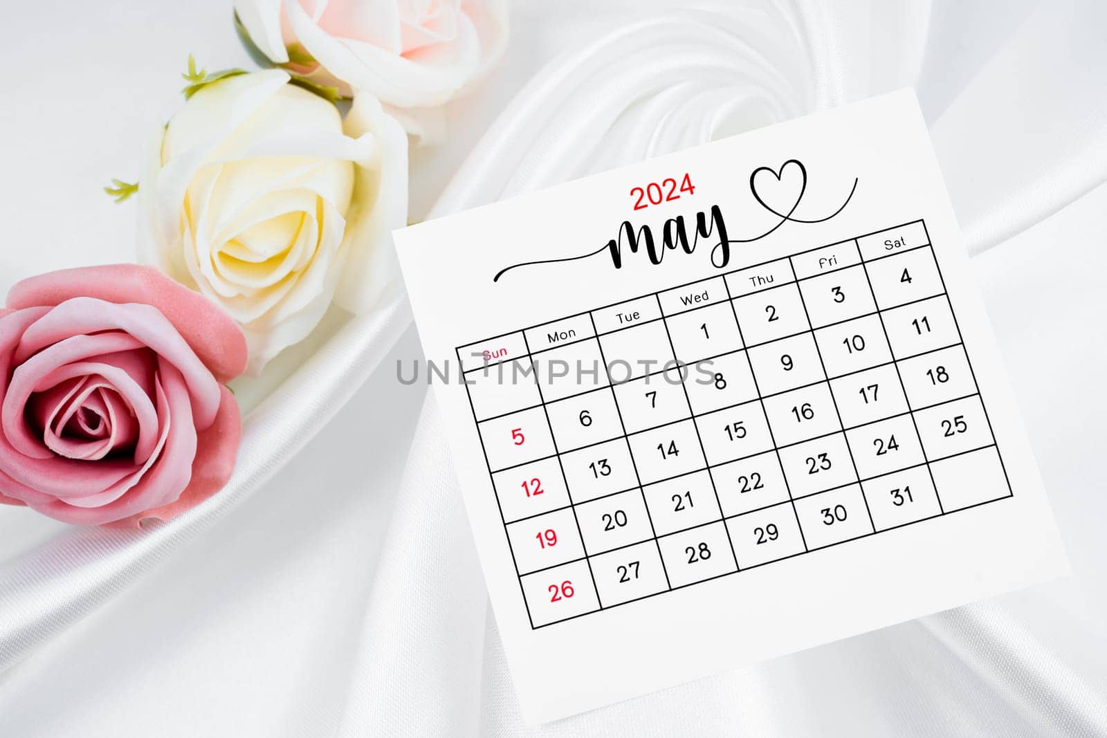 May 2024 calendar page and rose flower on white satin textile background.